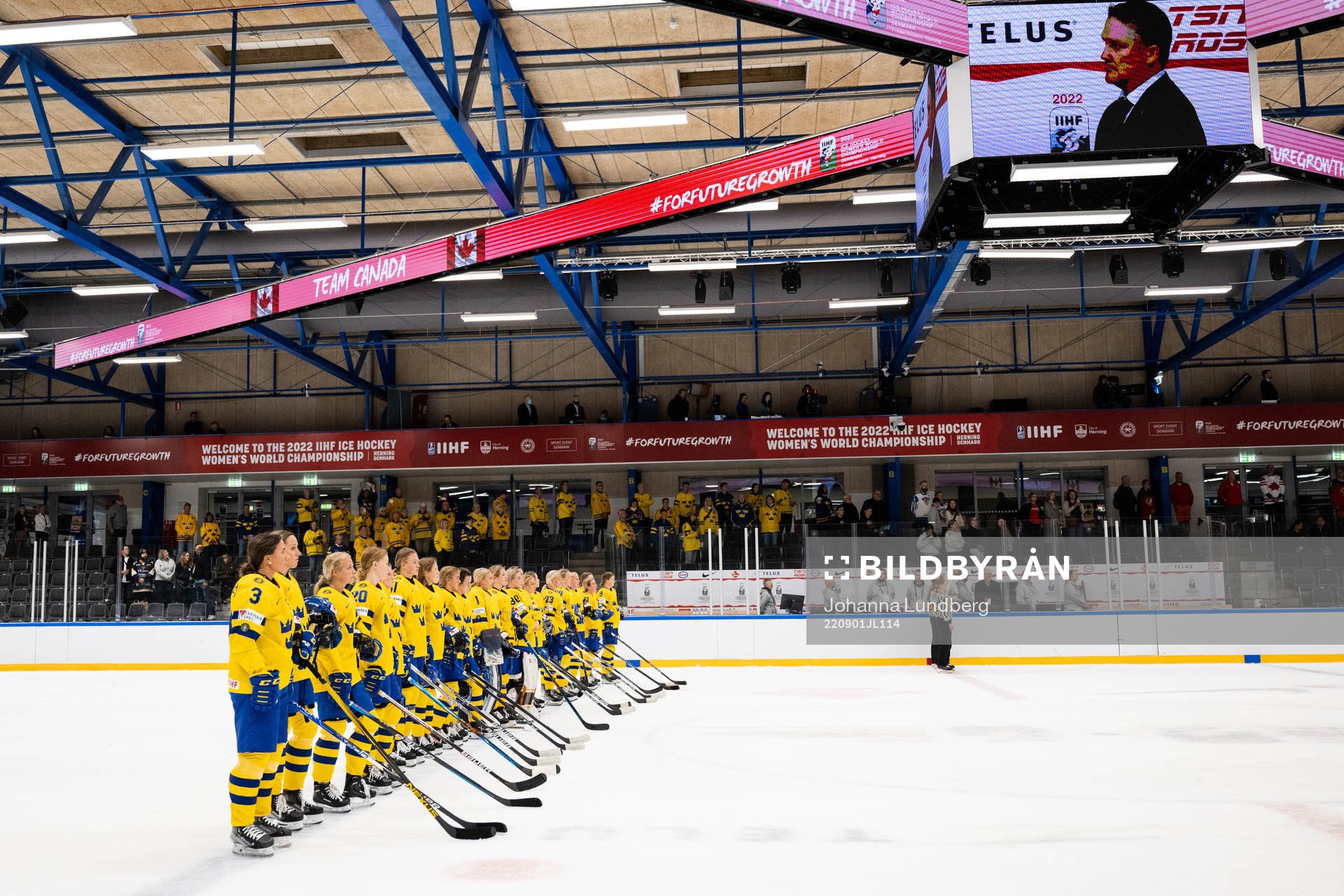 Players of Sweden