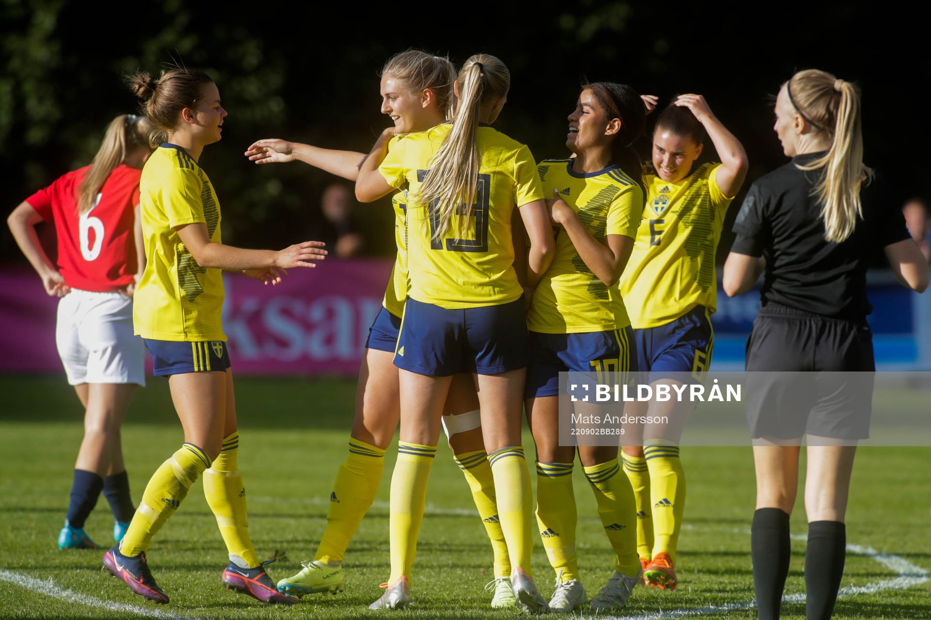 Sveriges spelare jublar