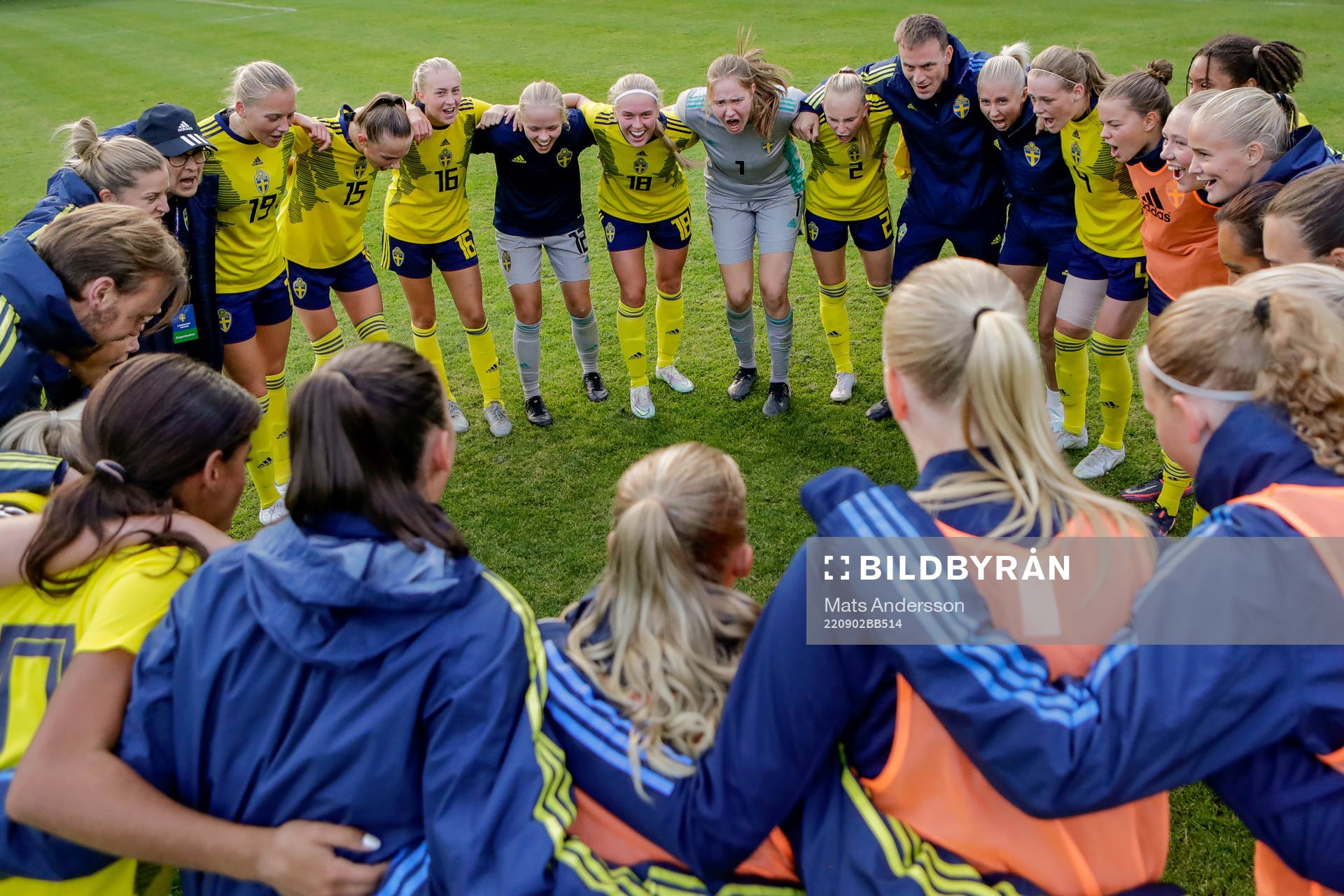 Sveriges spelare jublar