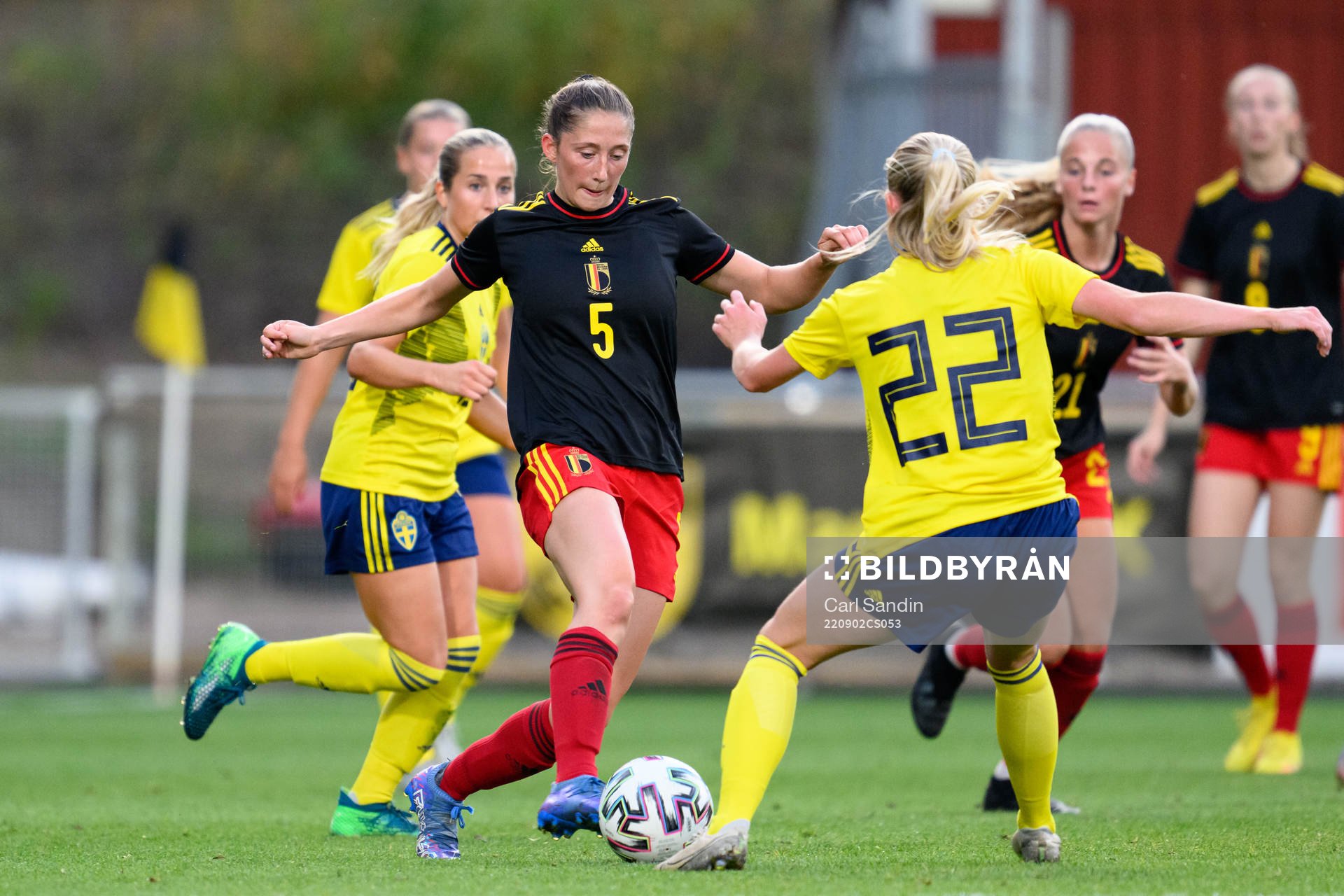 Fran Meersman of Belgium