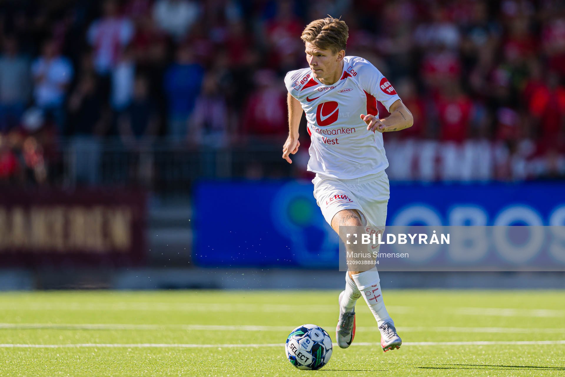 David Møller Wolfe of Brann