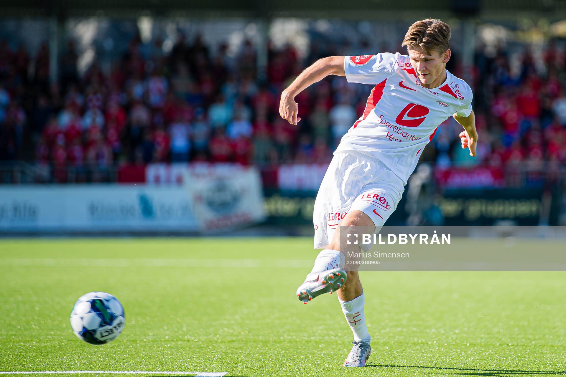 David Møller Wolfe of Brann