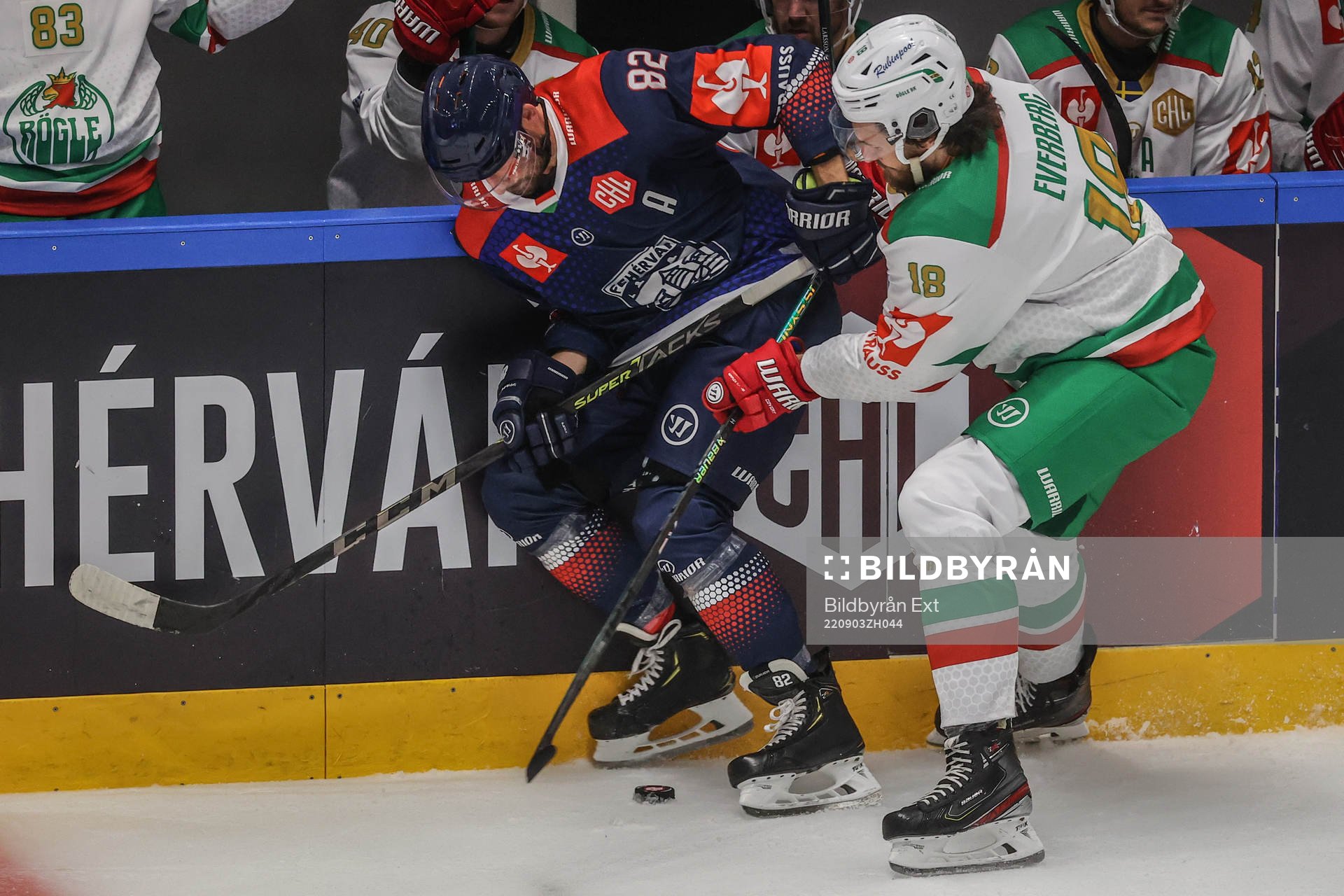 Balint Magosi of Fehervar against Dennis Eververg of Rögle