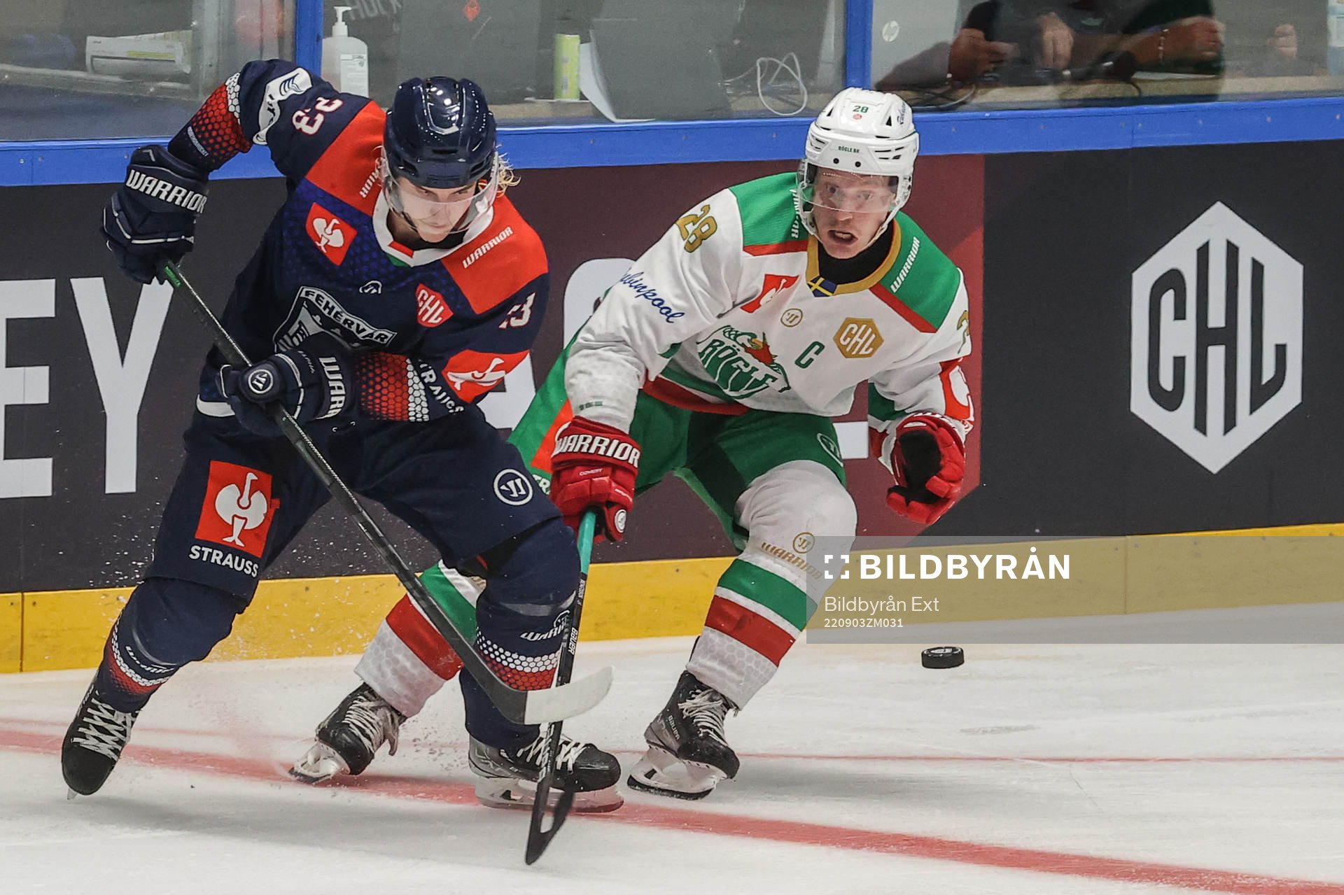 Natan Vertes of Fehervar and Anton Bengtsson of Rögle