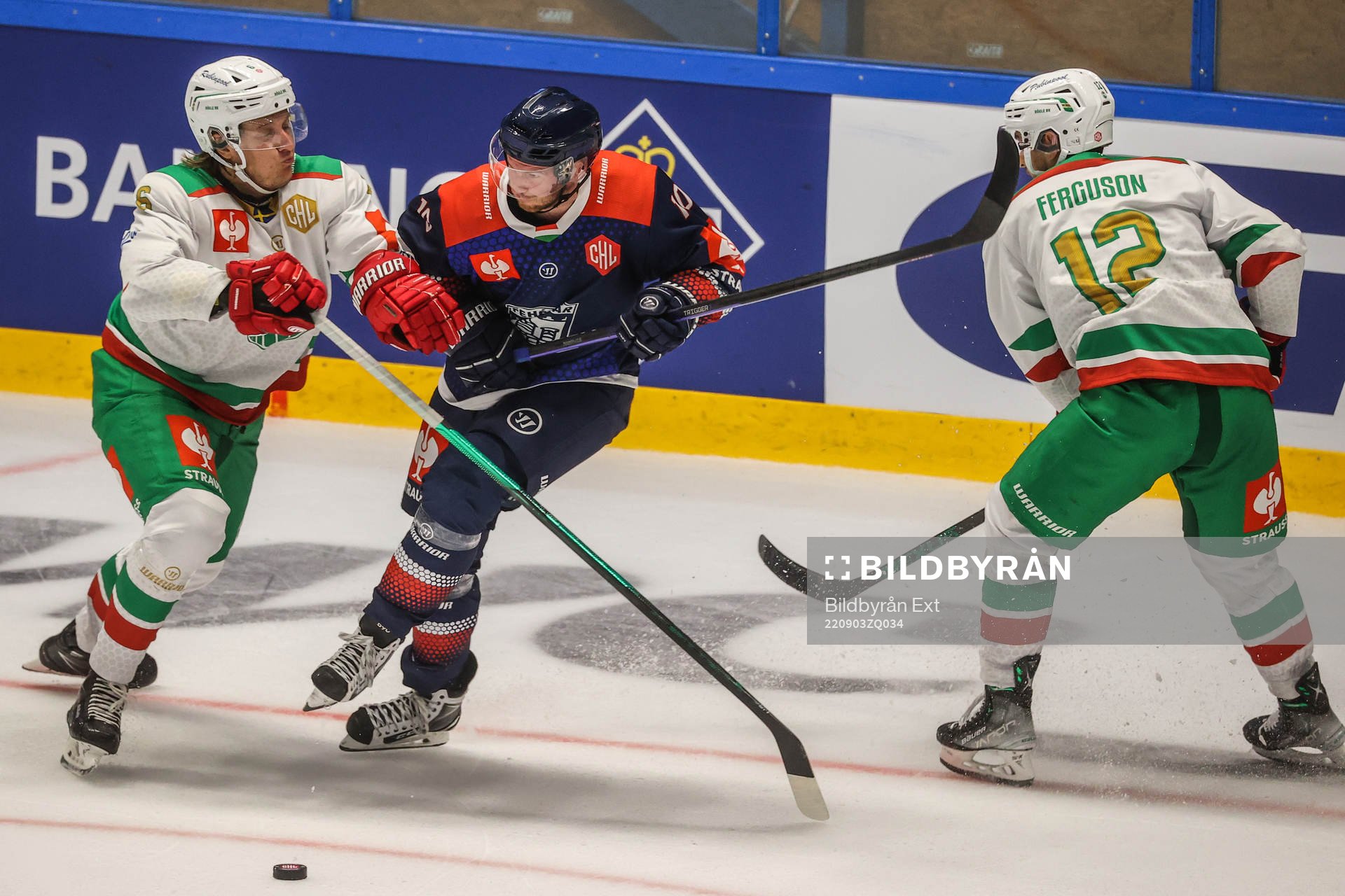 Tony Sund of Rögle against Istvan Bartalis of Fehervar