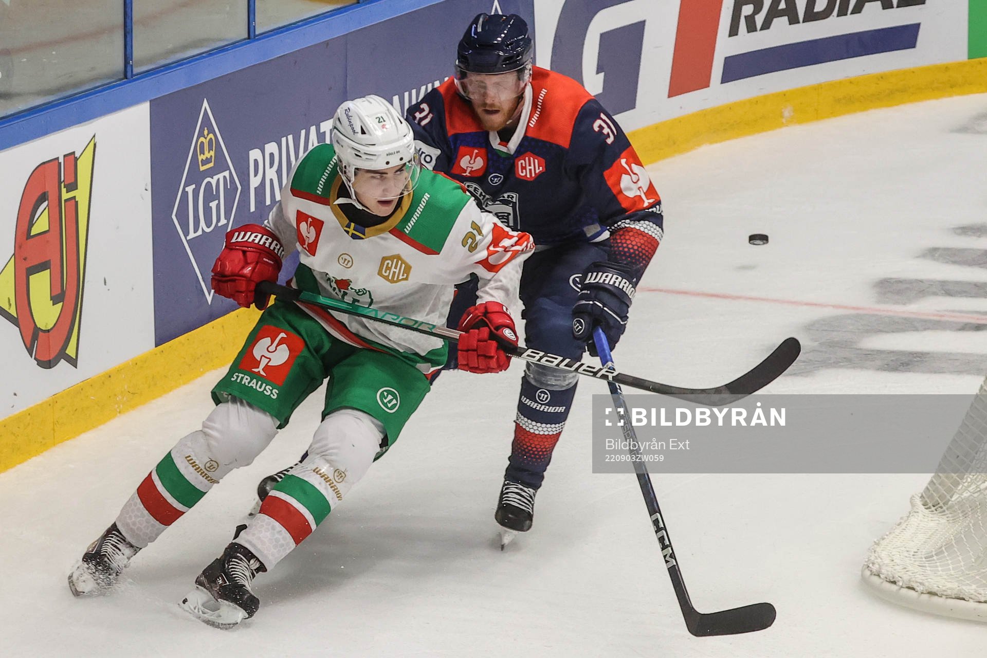 Daniel Ljungman of Rögle and henrik Nilsson of Fehervar