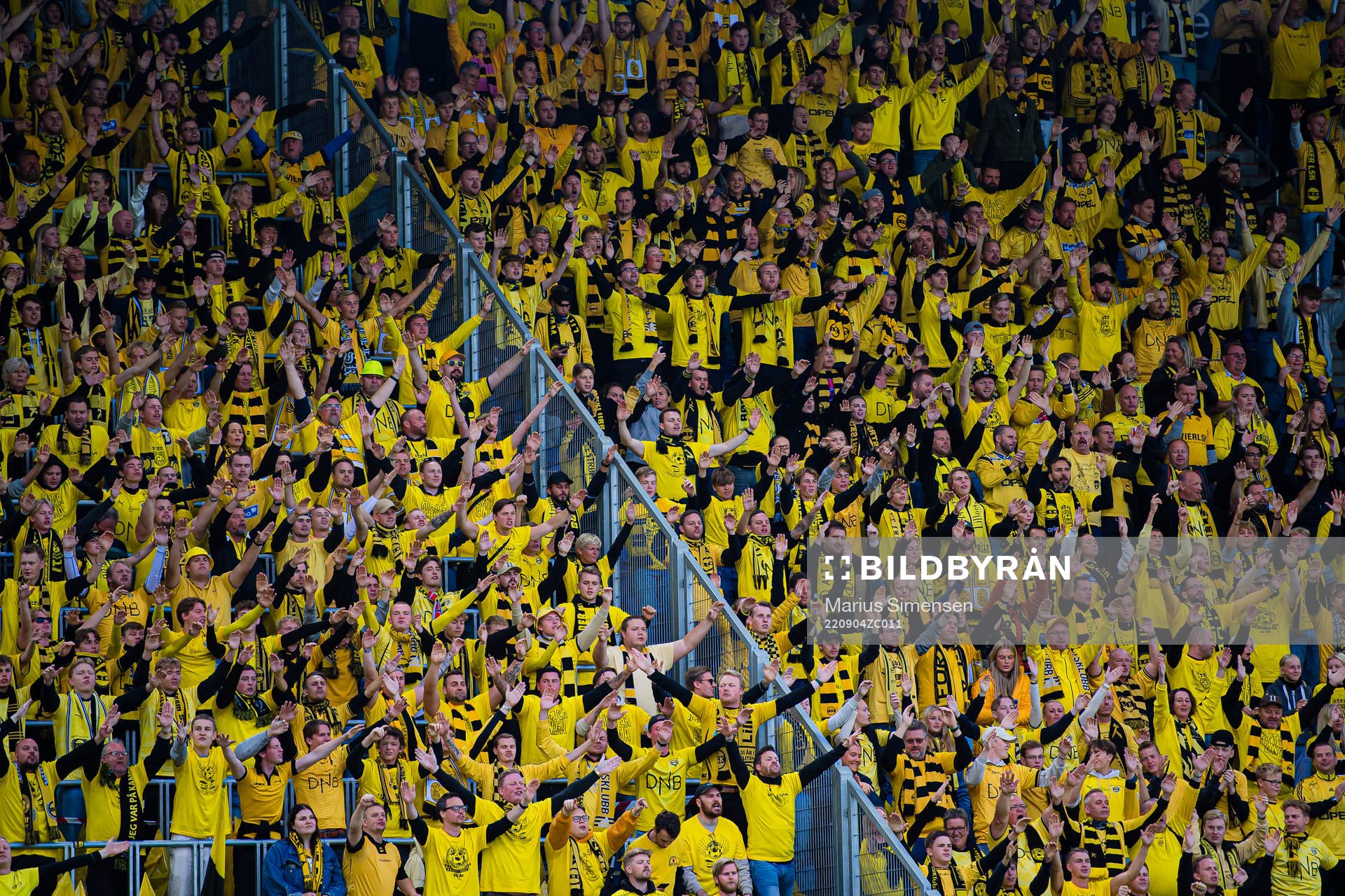 Spectators in the stands
