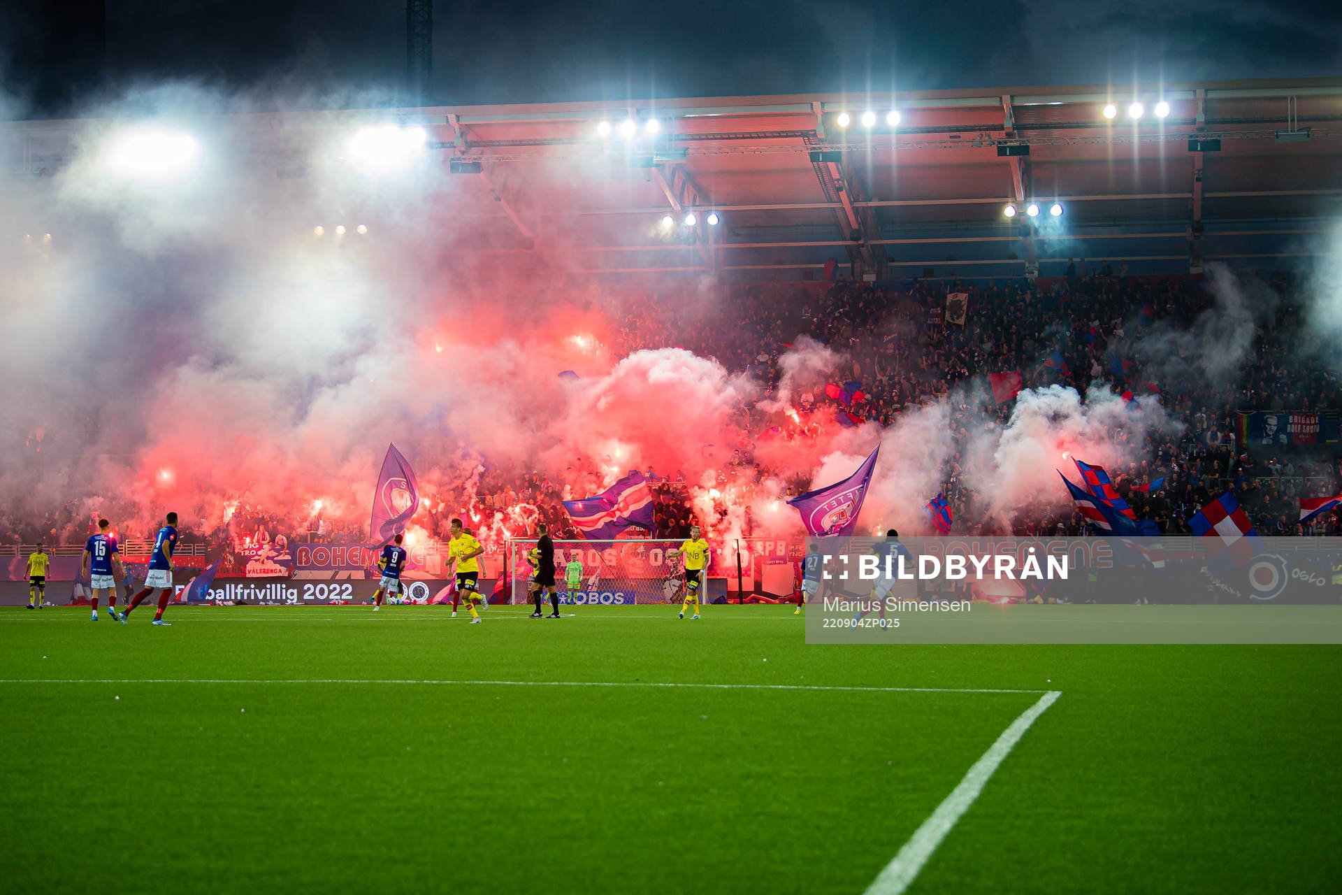 Spectators in the stands celebrates