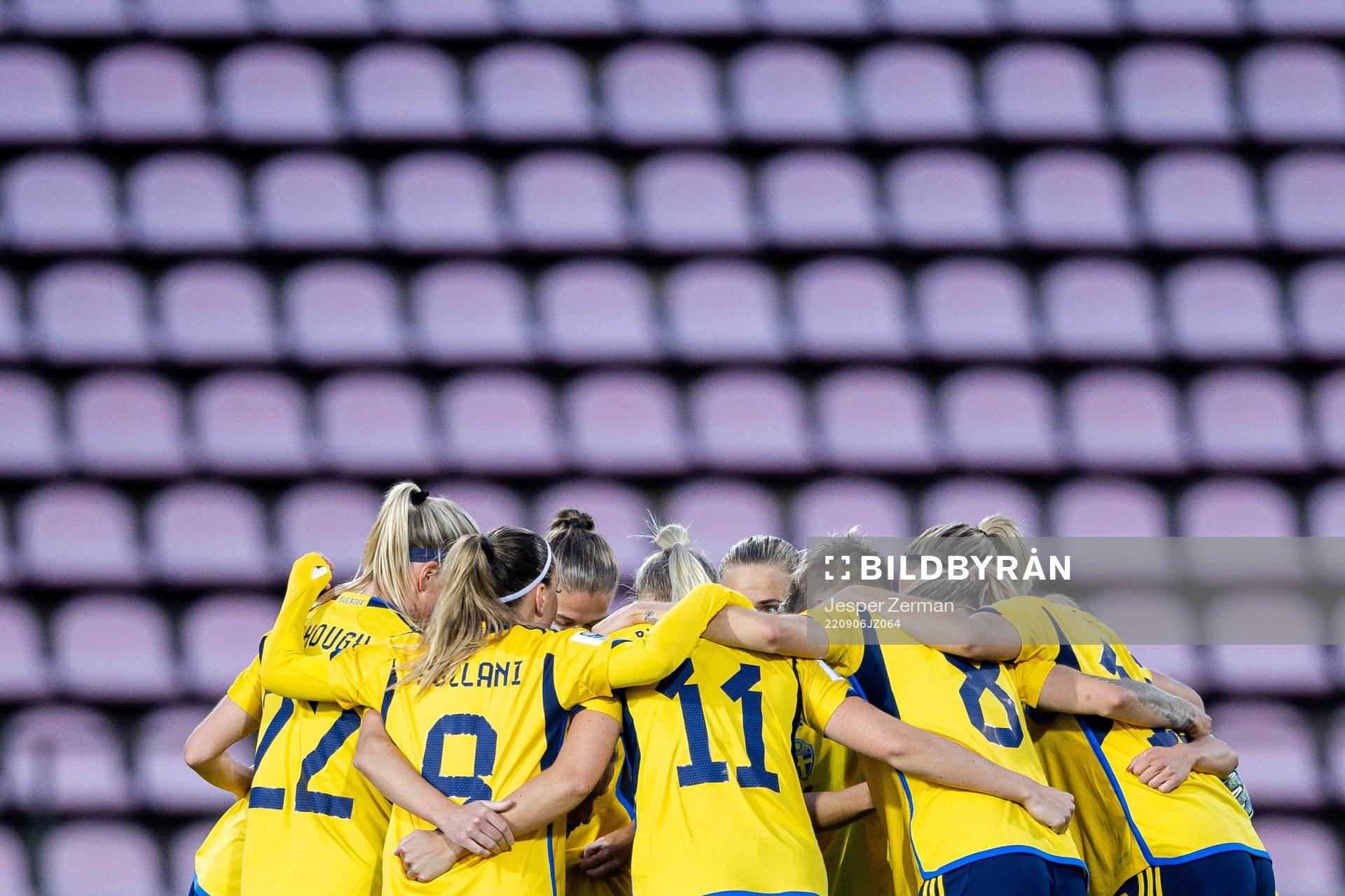 Players of Sweden