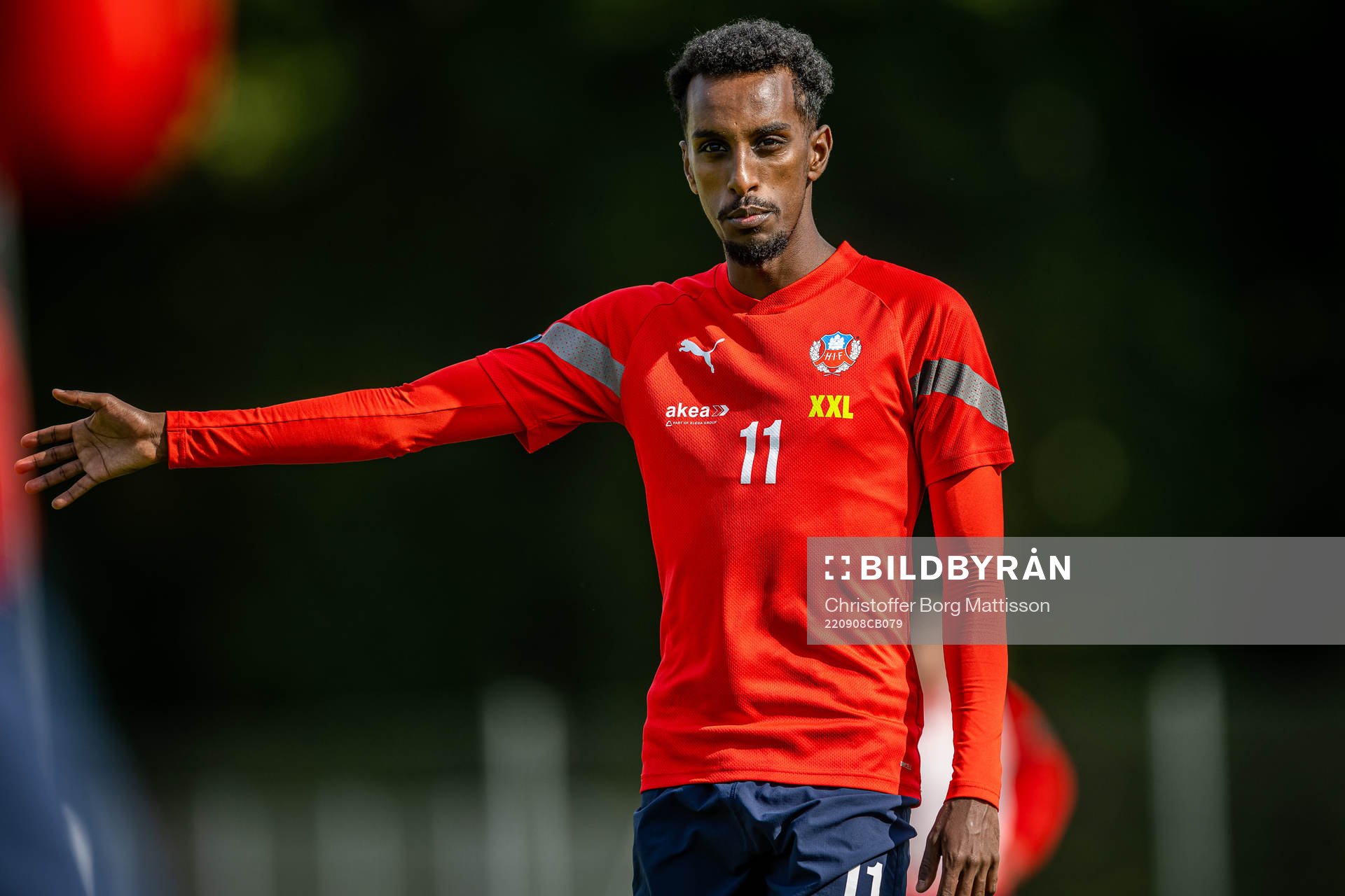 Taha Abdi Ali