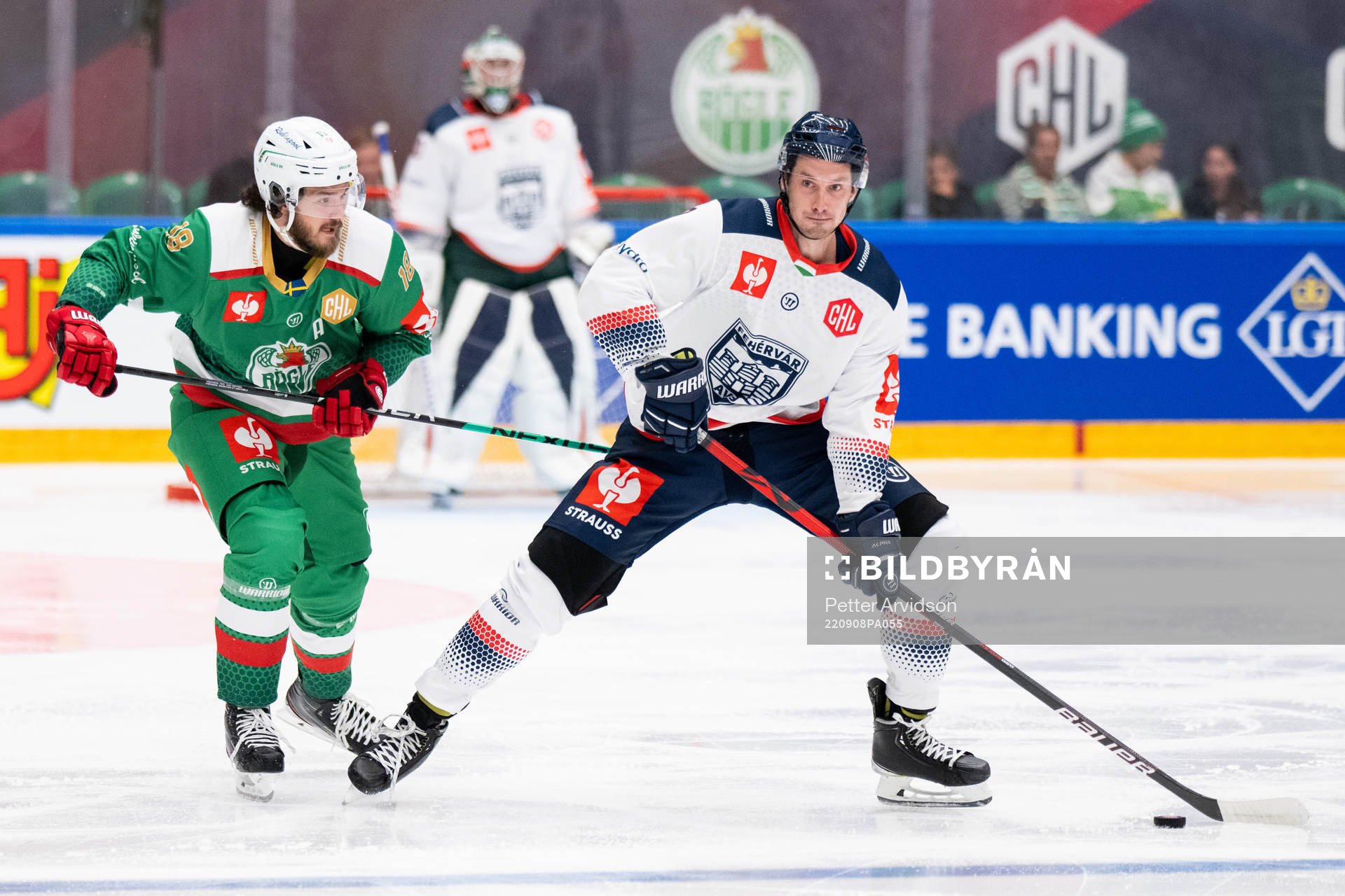 Dennis Everberg of Rögle and Ben Betker of Fehervar