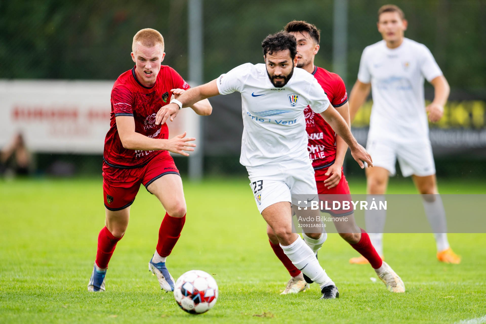 Balkans Milos Nikolic