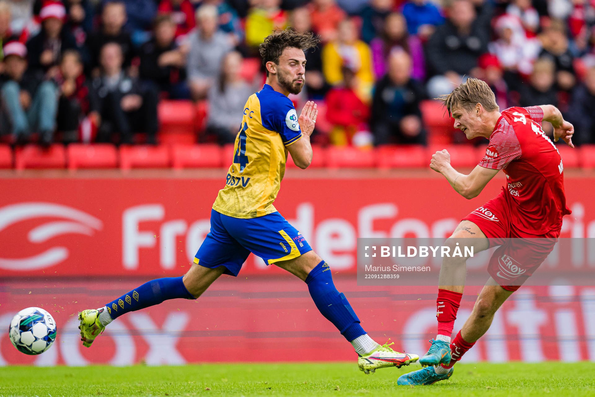 David Møller Wolfe of Brann