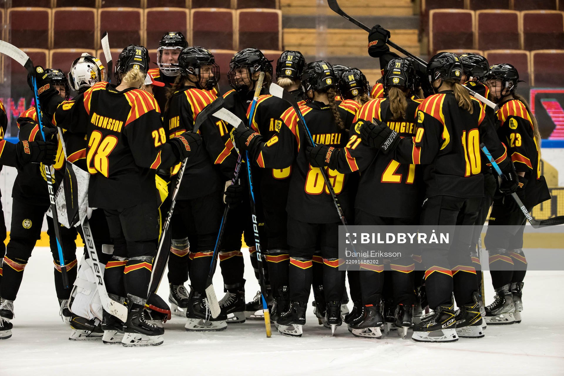 Brynäs spelarana jublar