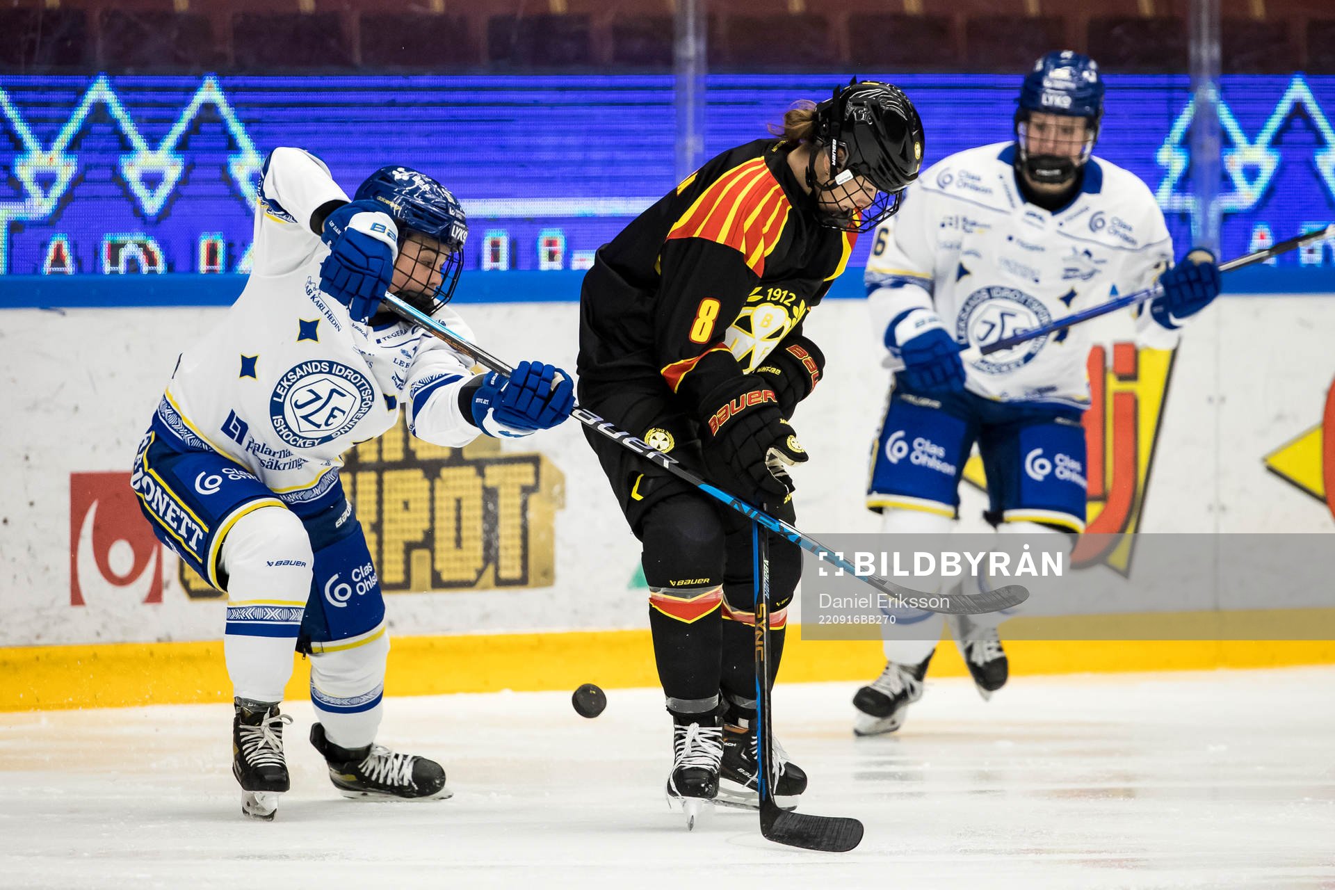 Leksands Matilda af Bjur och Brynäs Savine Wielenga