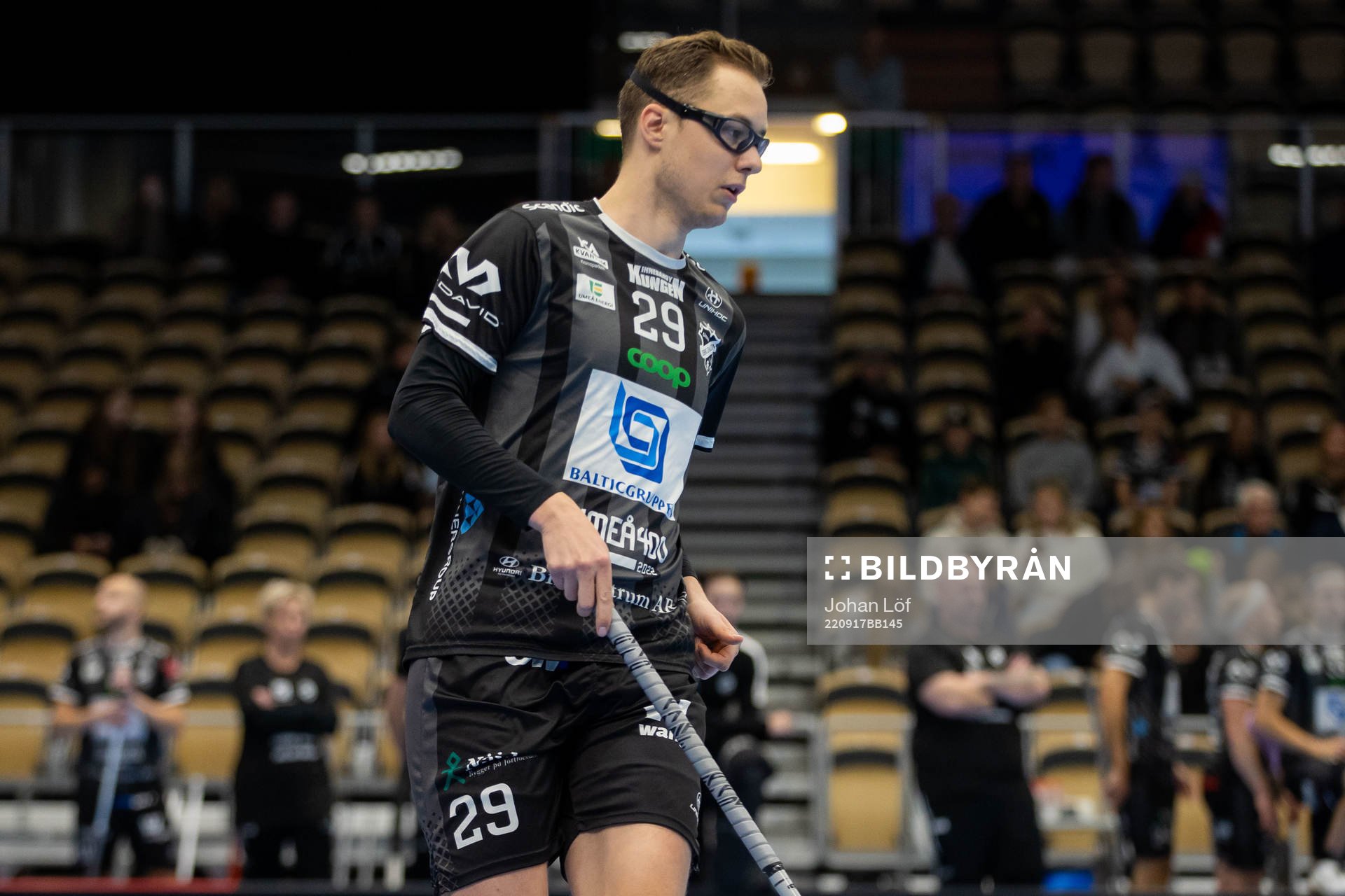 Dalens Wilhelm Vihtari Hansson