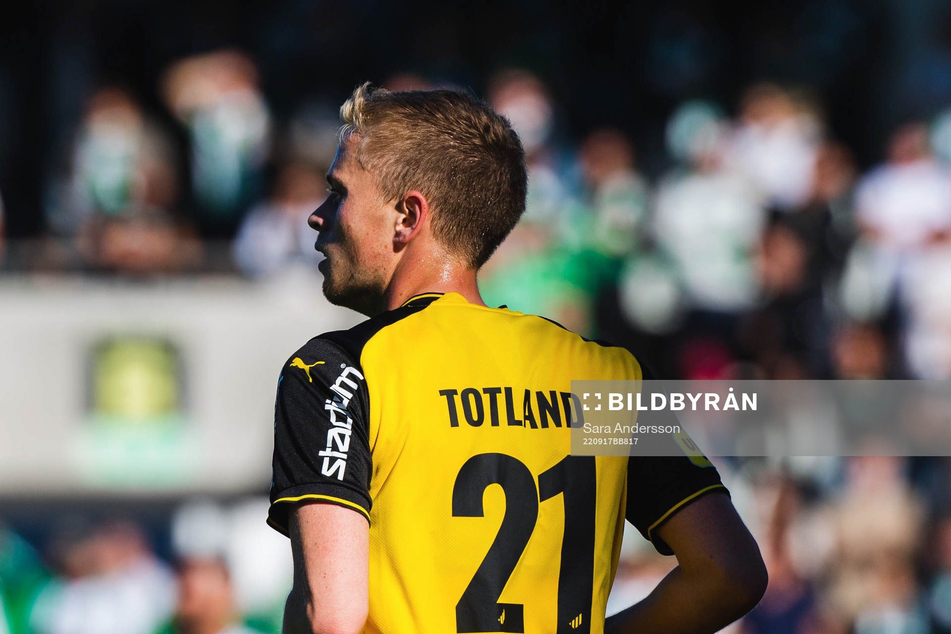 Häckens Tomas Olai Totland