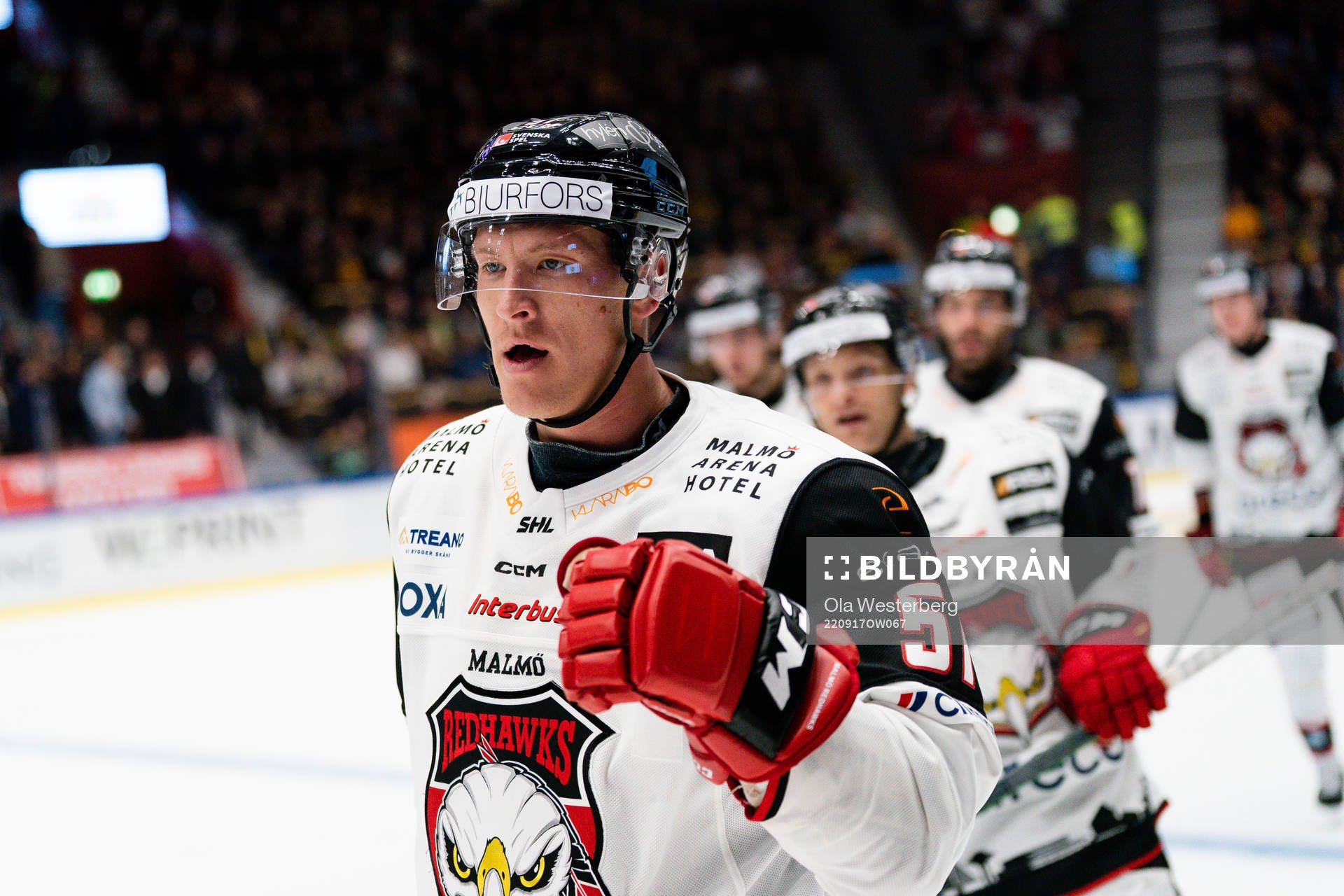 Malmö Redhawks Emil Sylvegård jublar