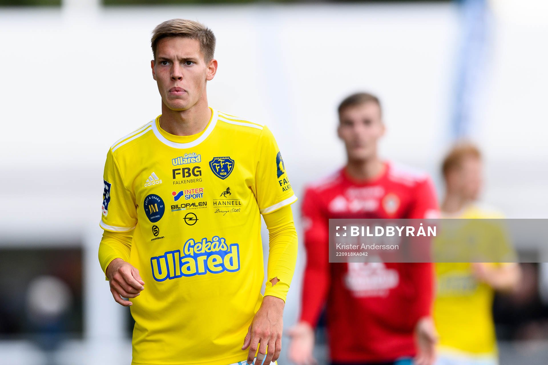 Falkenbergs Taylor Silverholt