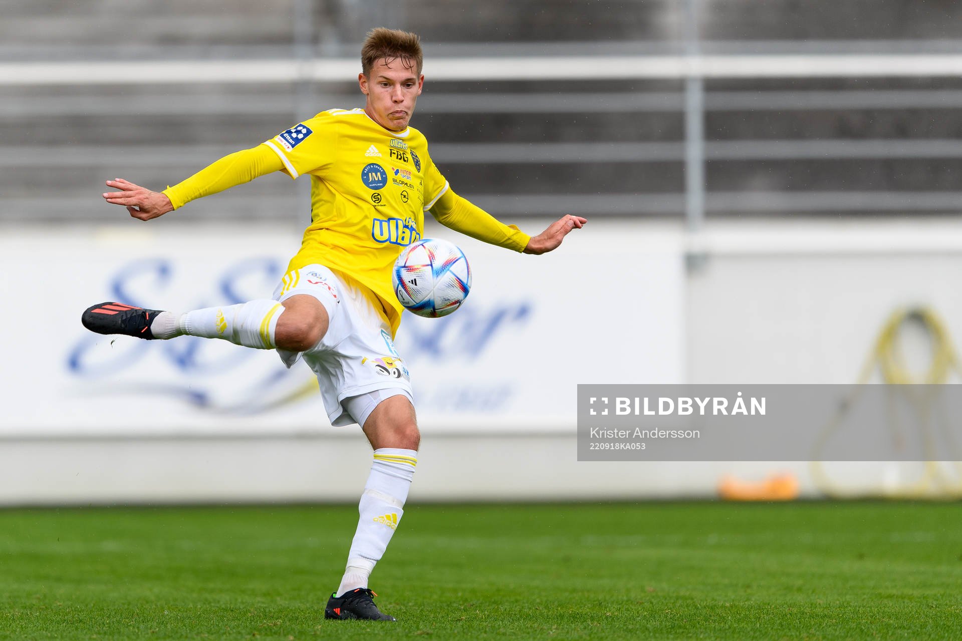 Falkenbergs Taylor Silverholt
