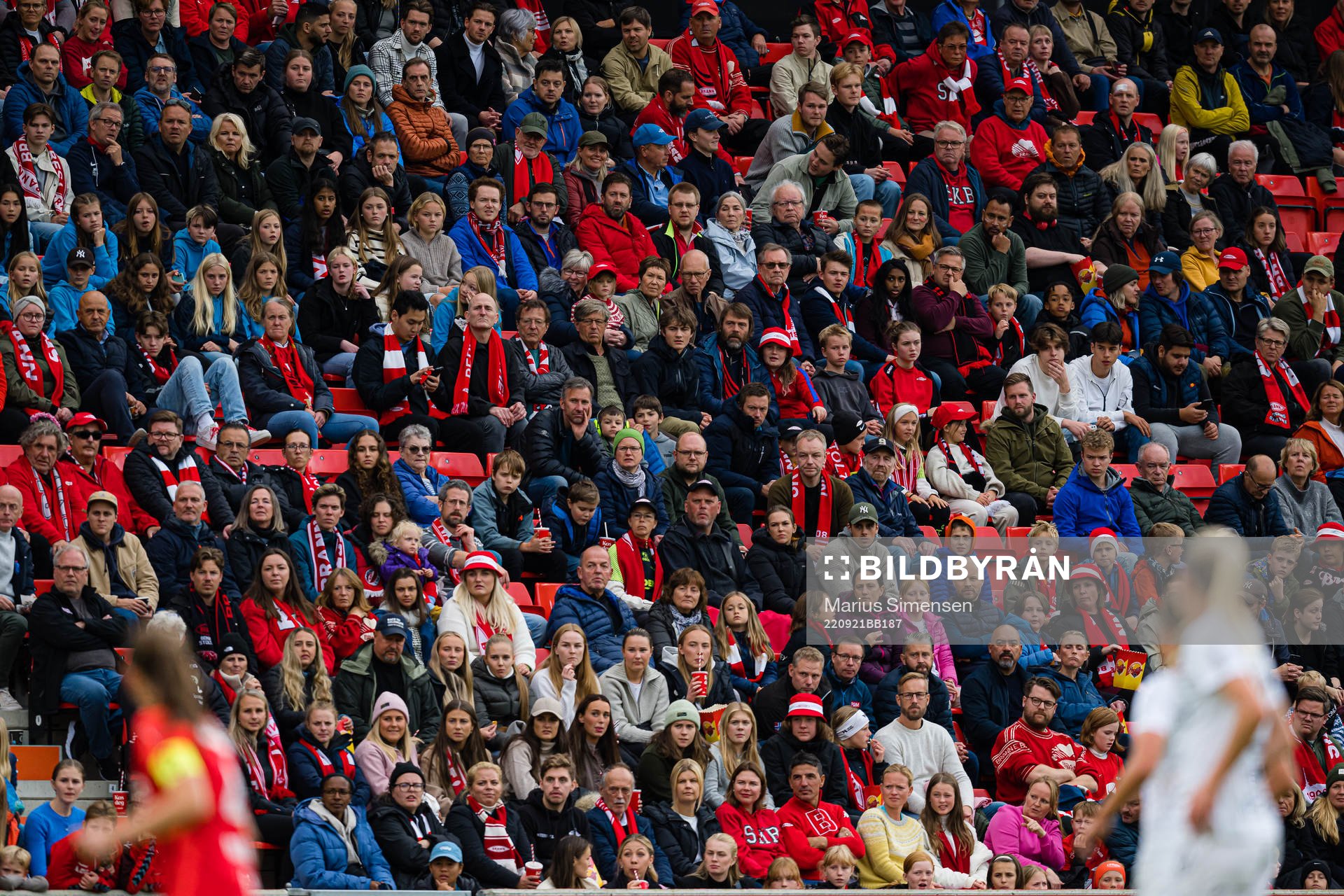 Spectators in the stands