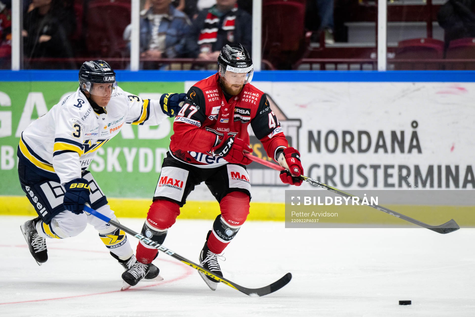 HV71s Daniel Bertov och Malmö Redhawks Joakim Ryan