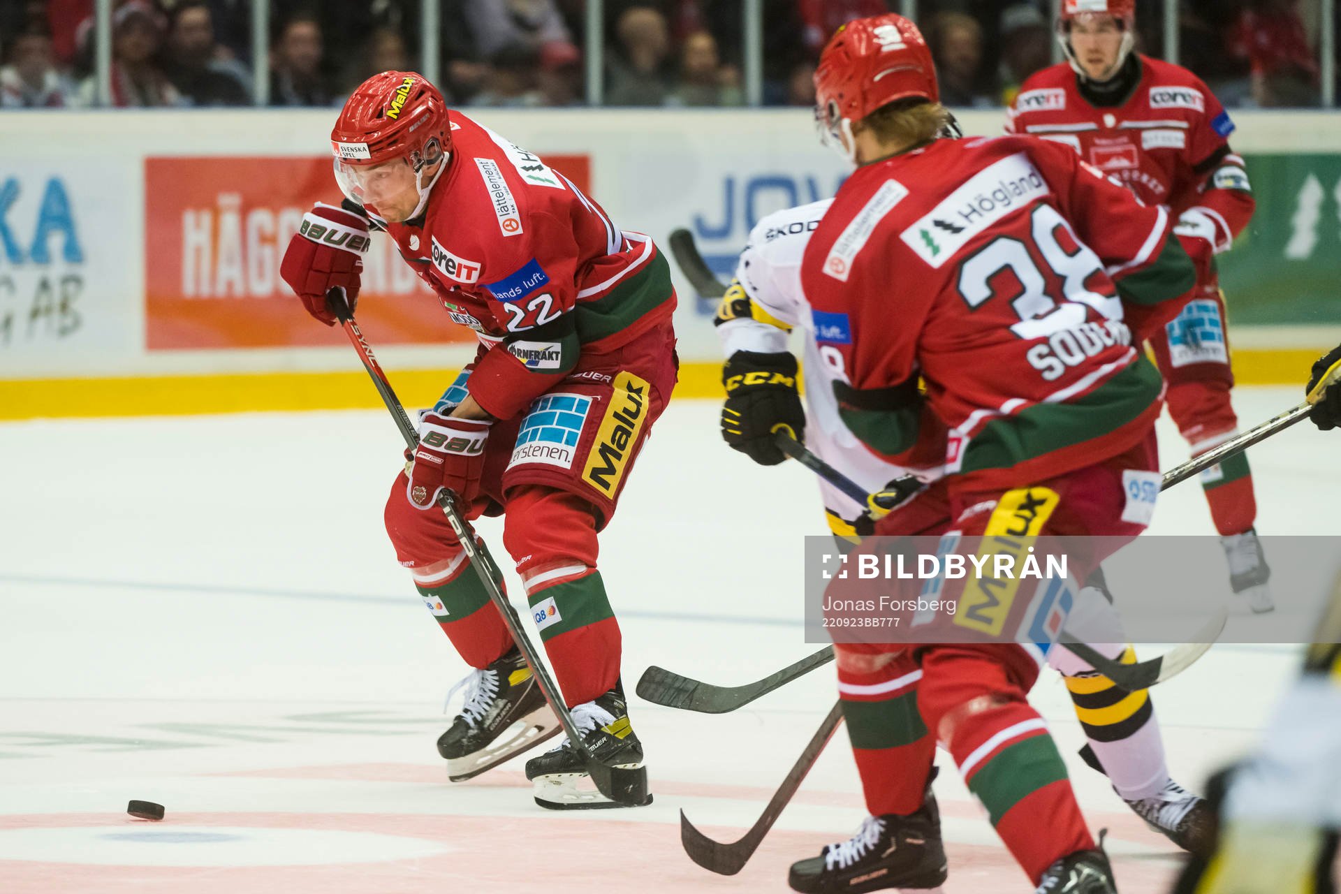 Modos Adam Pettersson