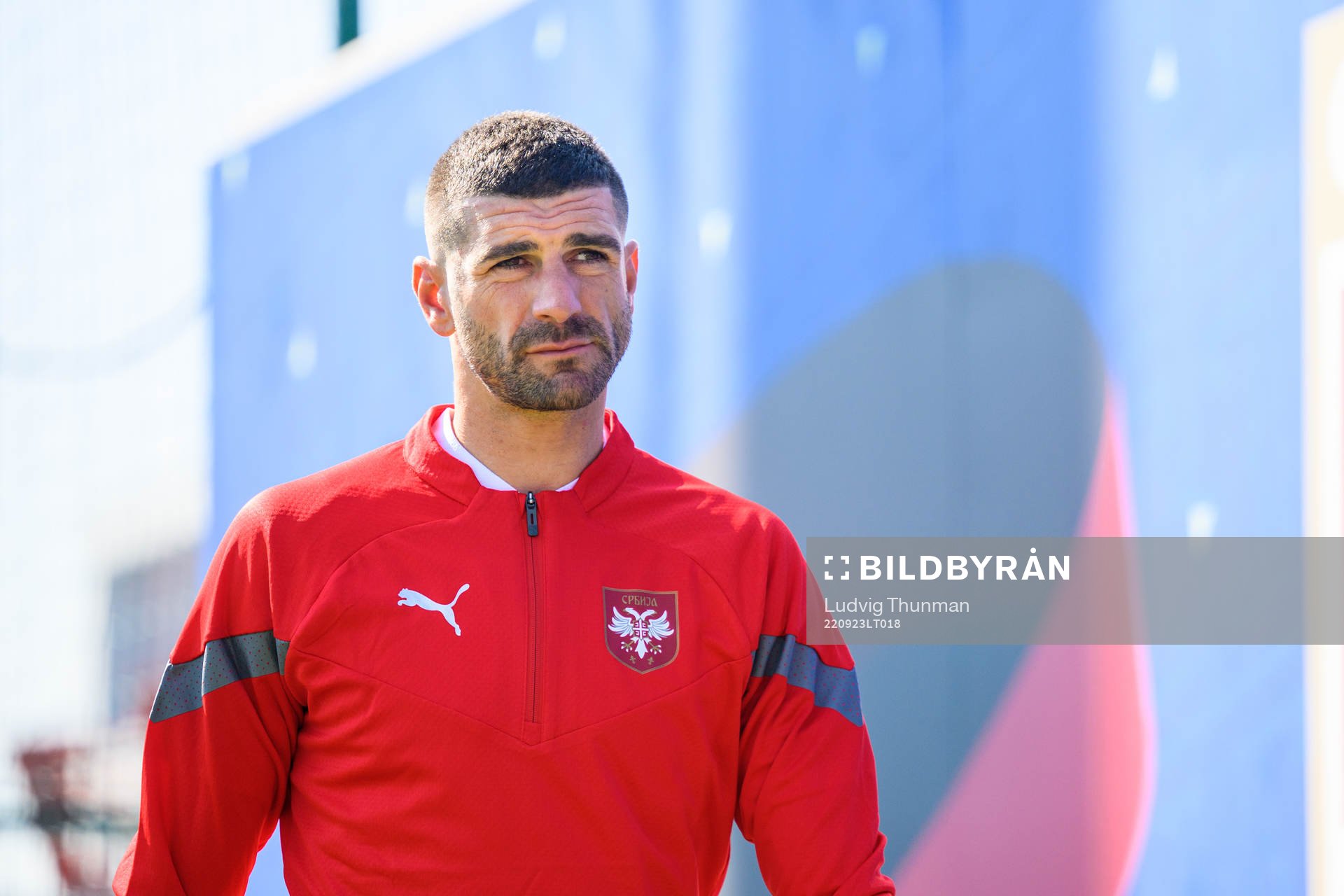 Stefan Mitrovic
