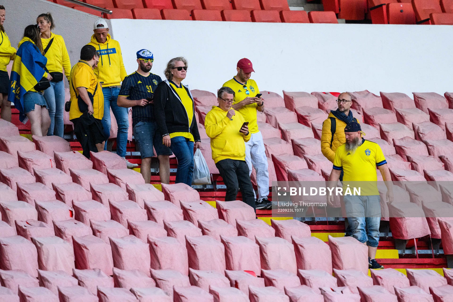 Supporters of Sweden