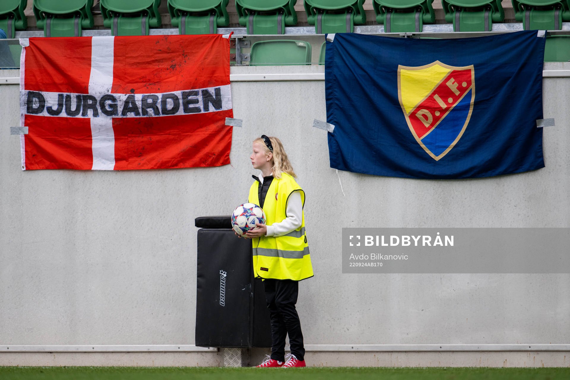 Djurgårdens flagga