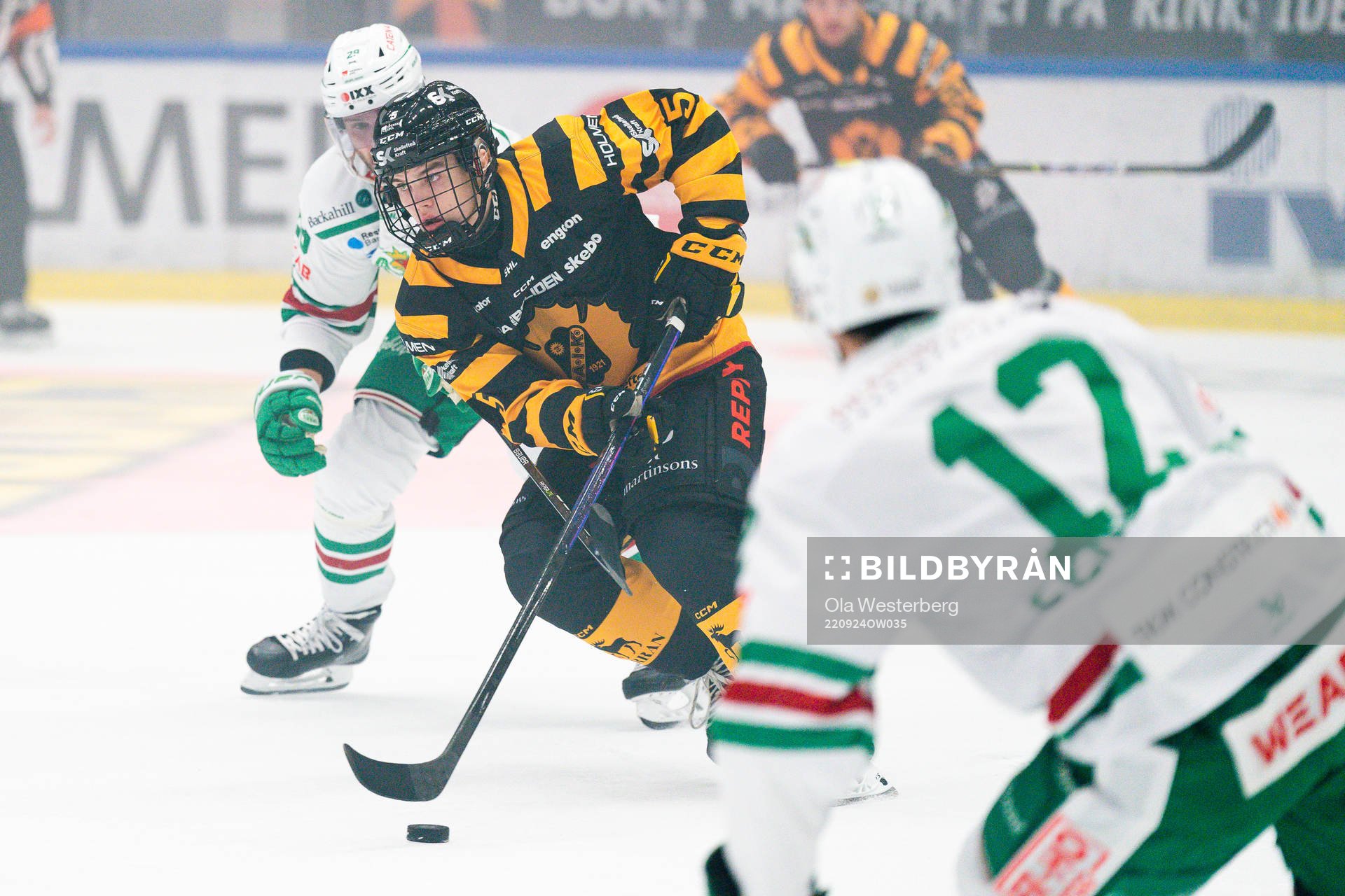 Skellefteås Axel Sandin Pellikka