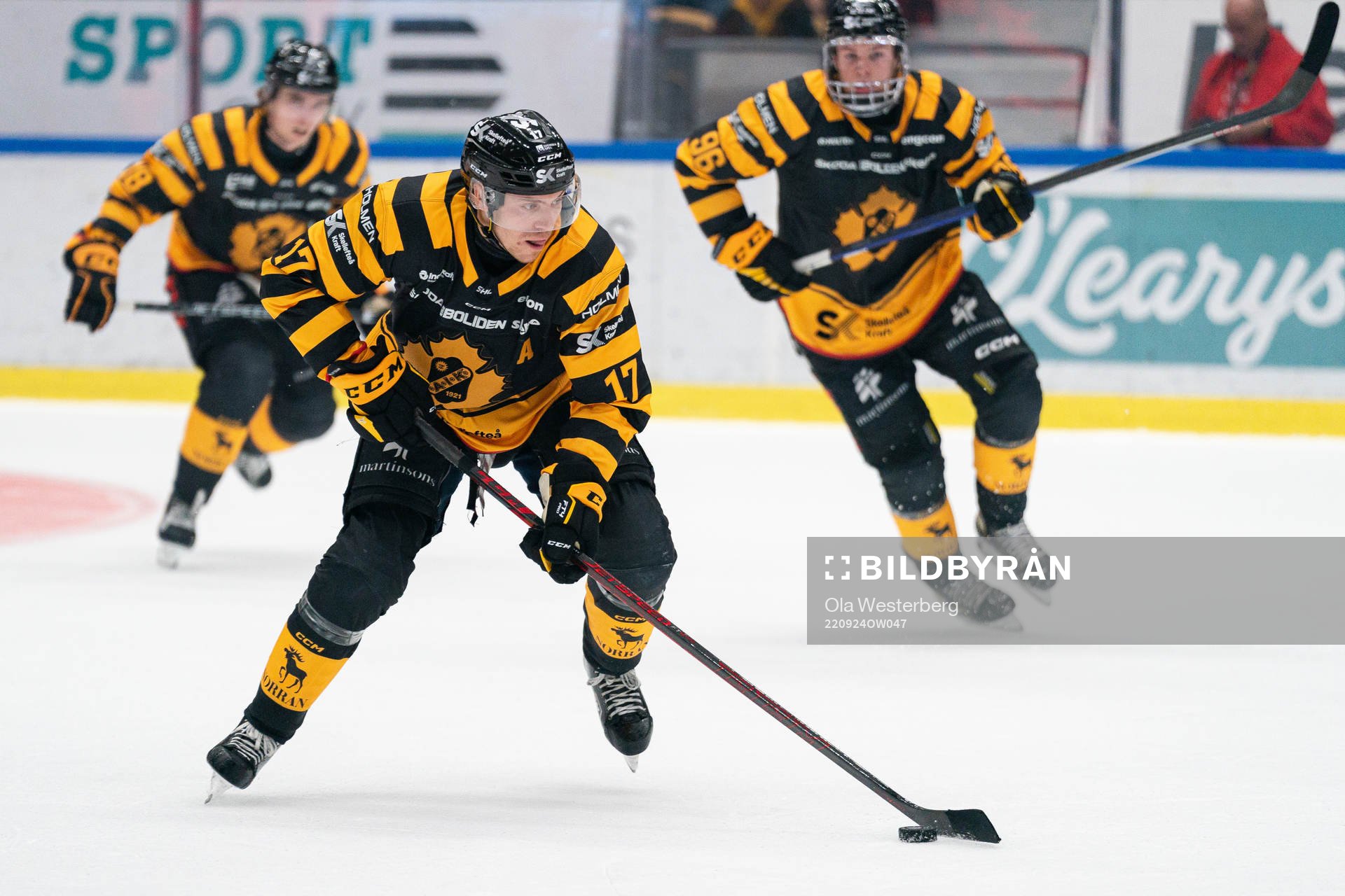Skellefteås Pär Lindholm
