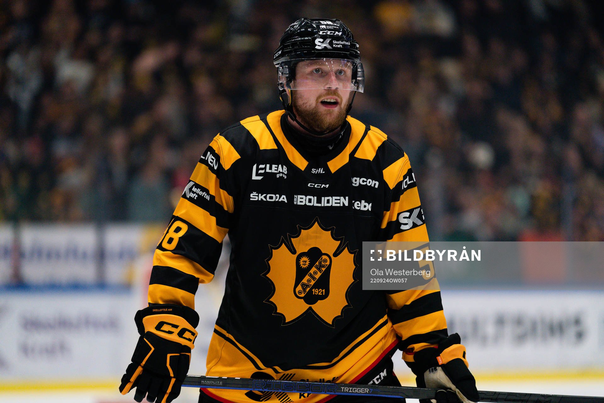 Skellefteås Oskar Nilsson