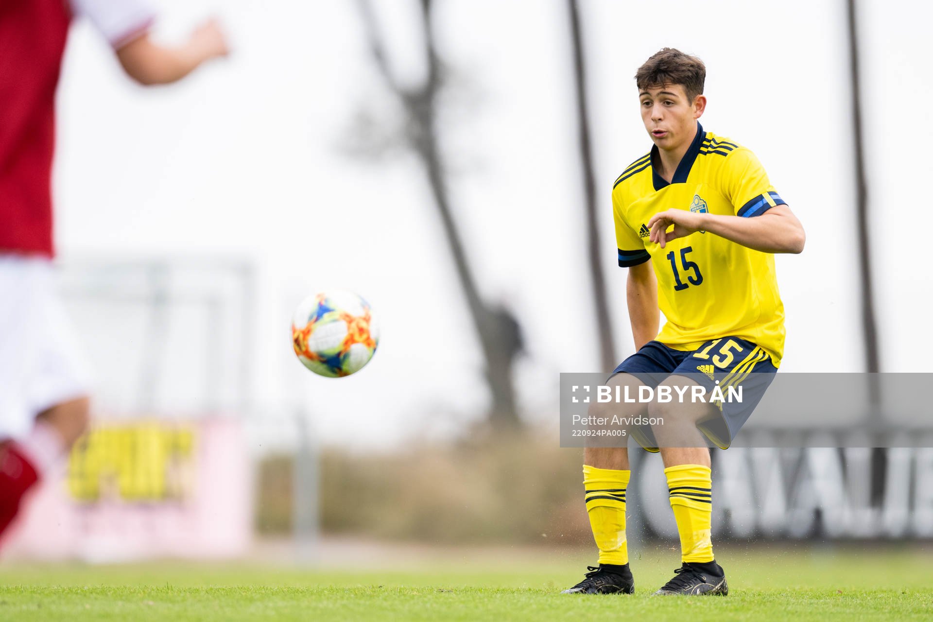 Hannes Bladh Pijaca of Sweden