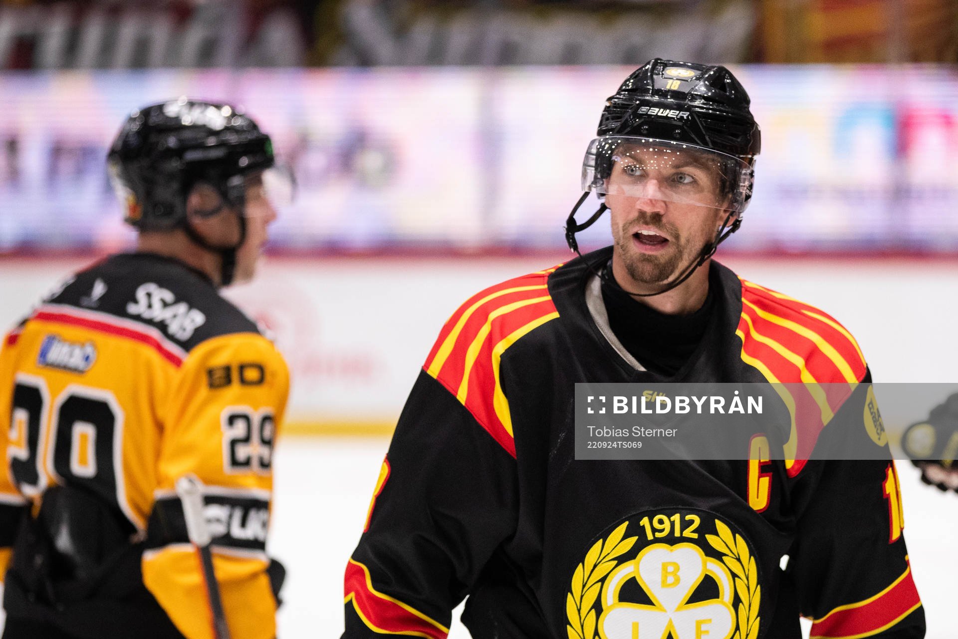 Brynäs Anton Rödin