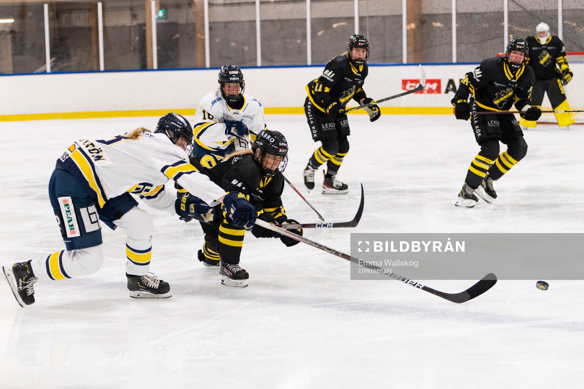 HV71s Mira Markström och AIKs Alva Hellqvist