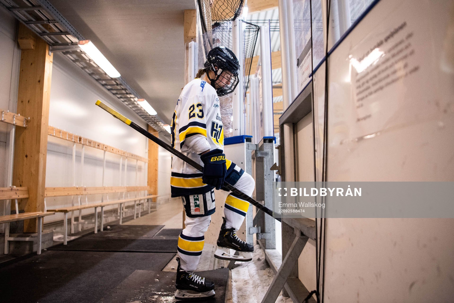 HV71s Sanni Hakala