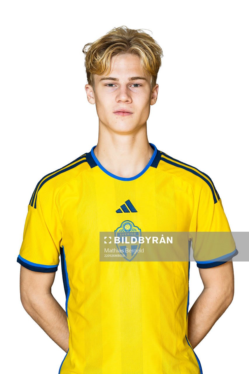 Theo Bergvall
