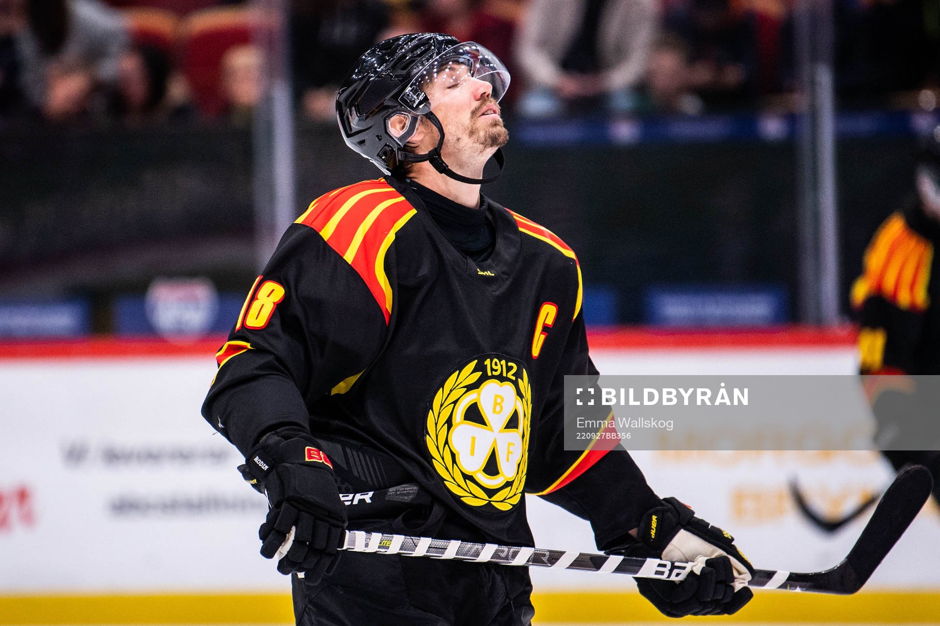 Brynäs Anton Rödin deppar