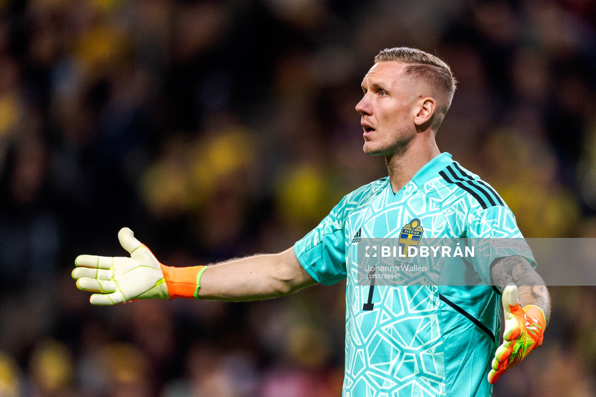 Goalkeeper Robin Olsen of Sweden