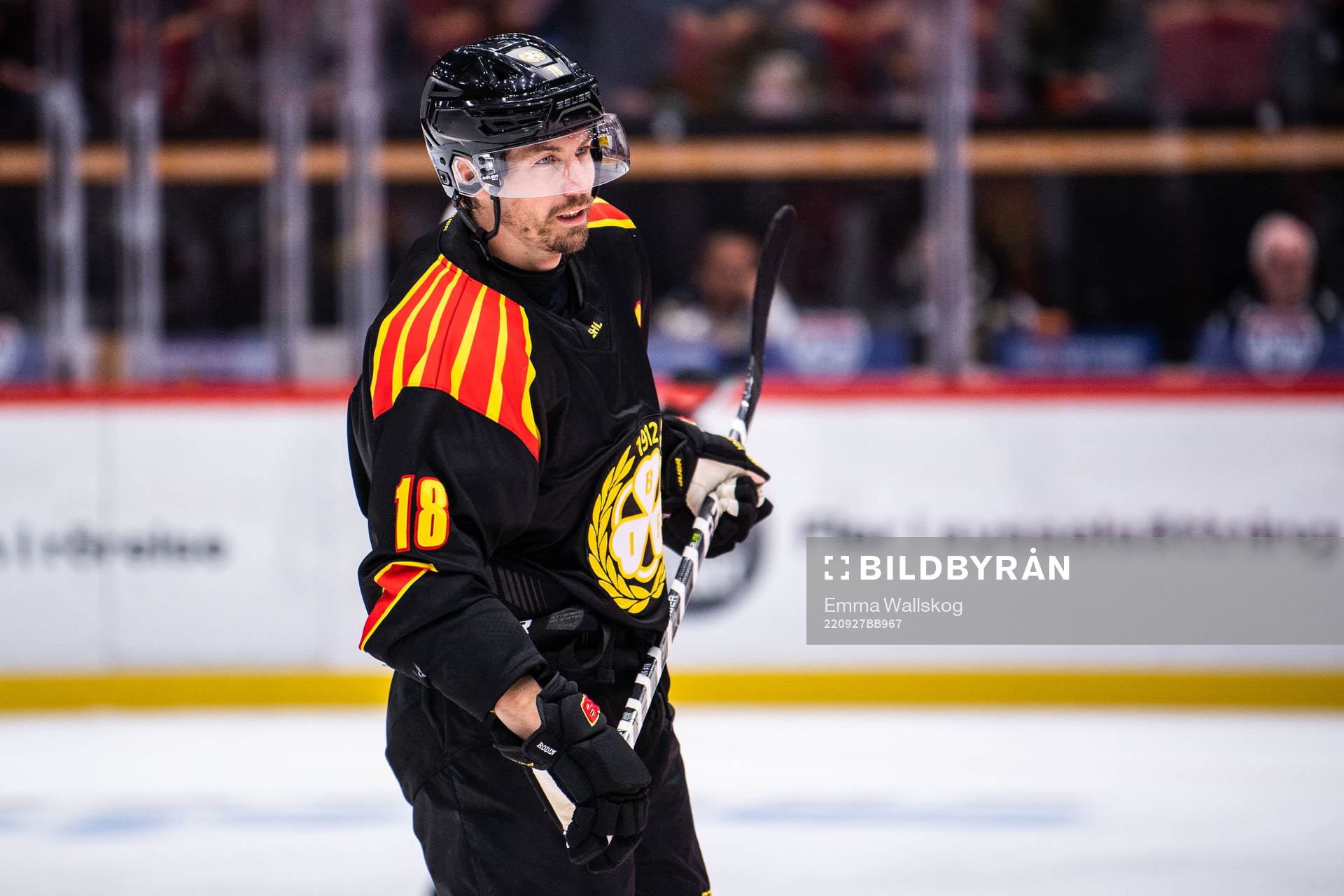 Brynäs Anton Rödin