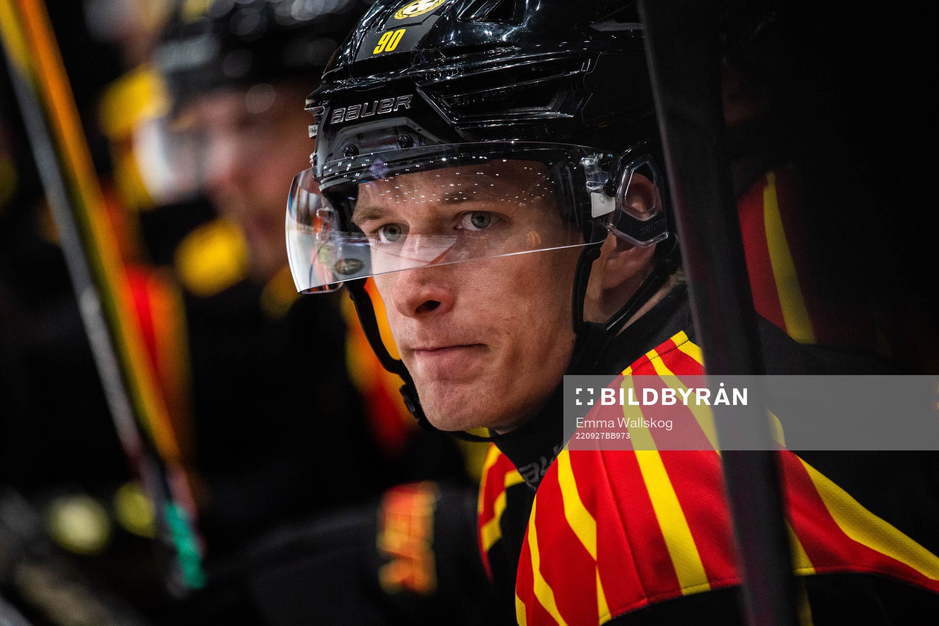 Brynäs David Sklenicka