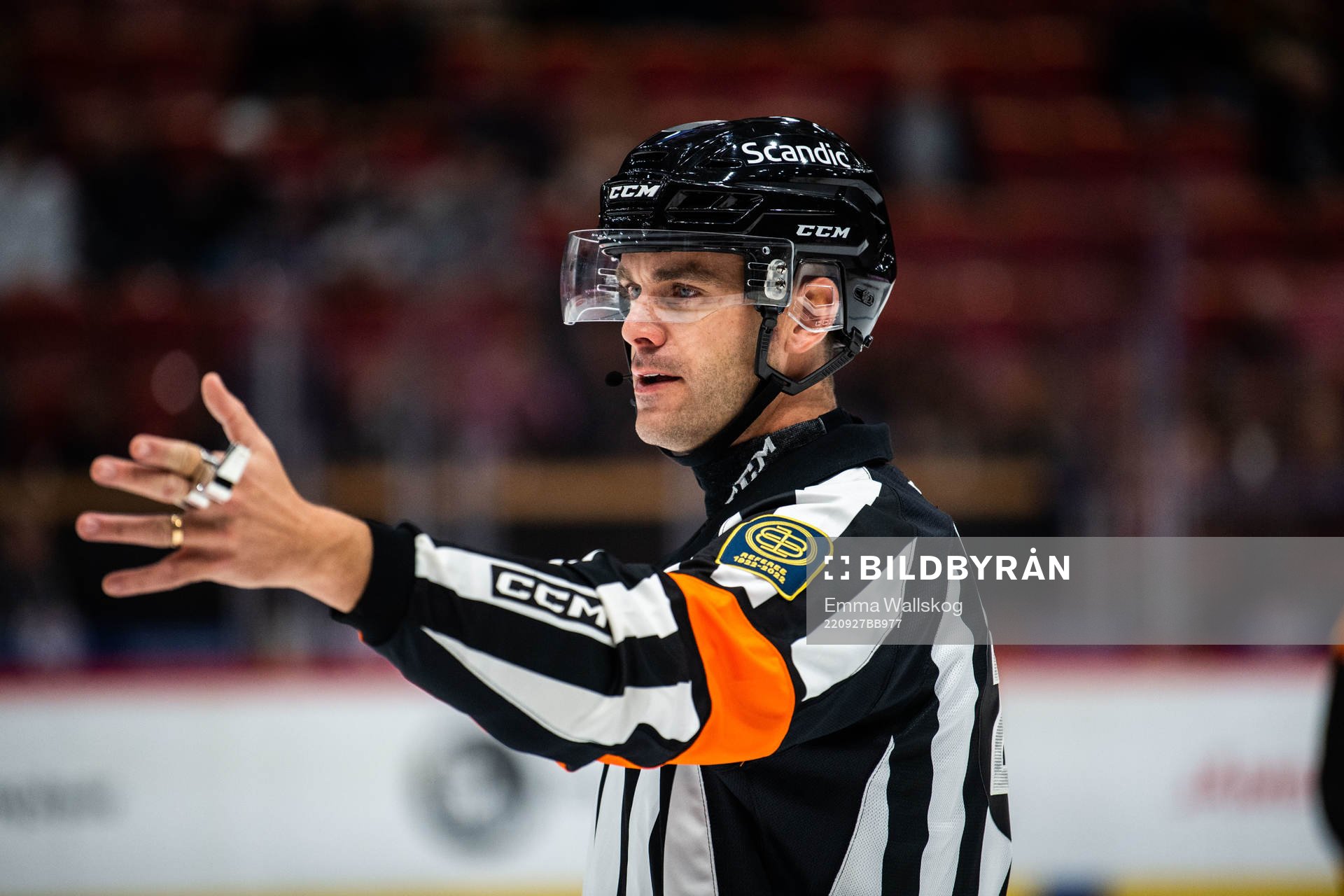 Domare Richard Magnusson