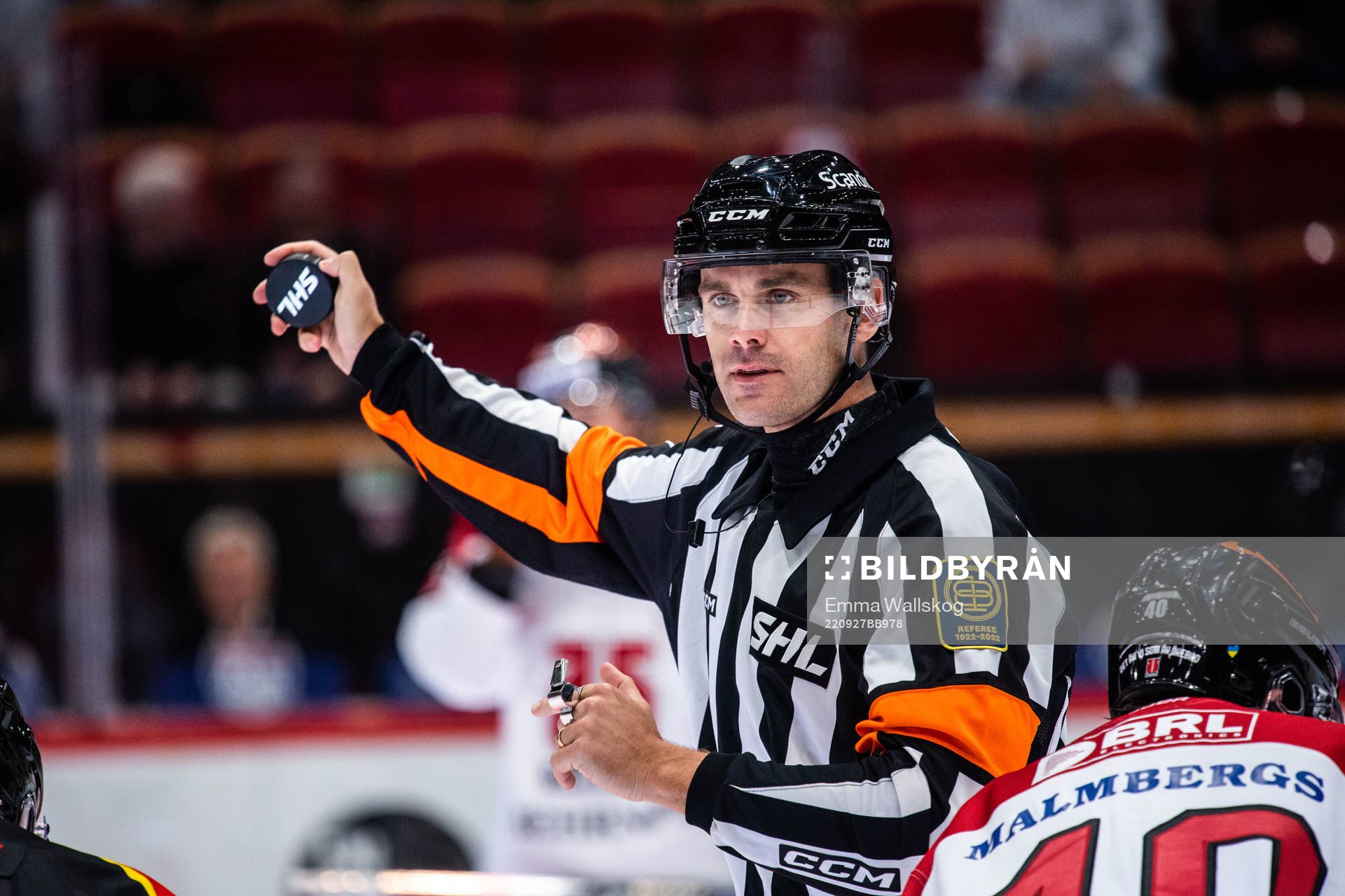 Domare Richard Magnusson