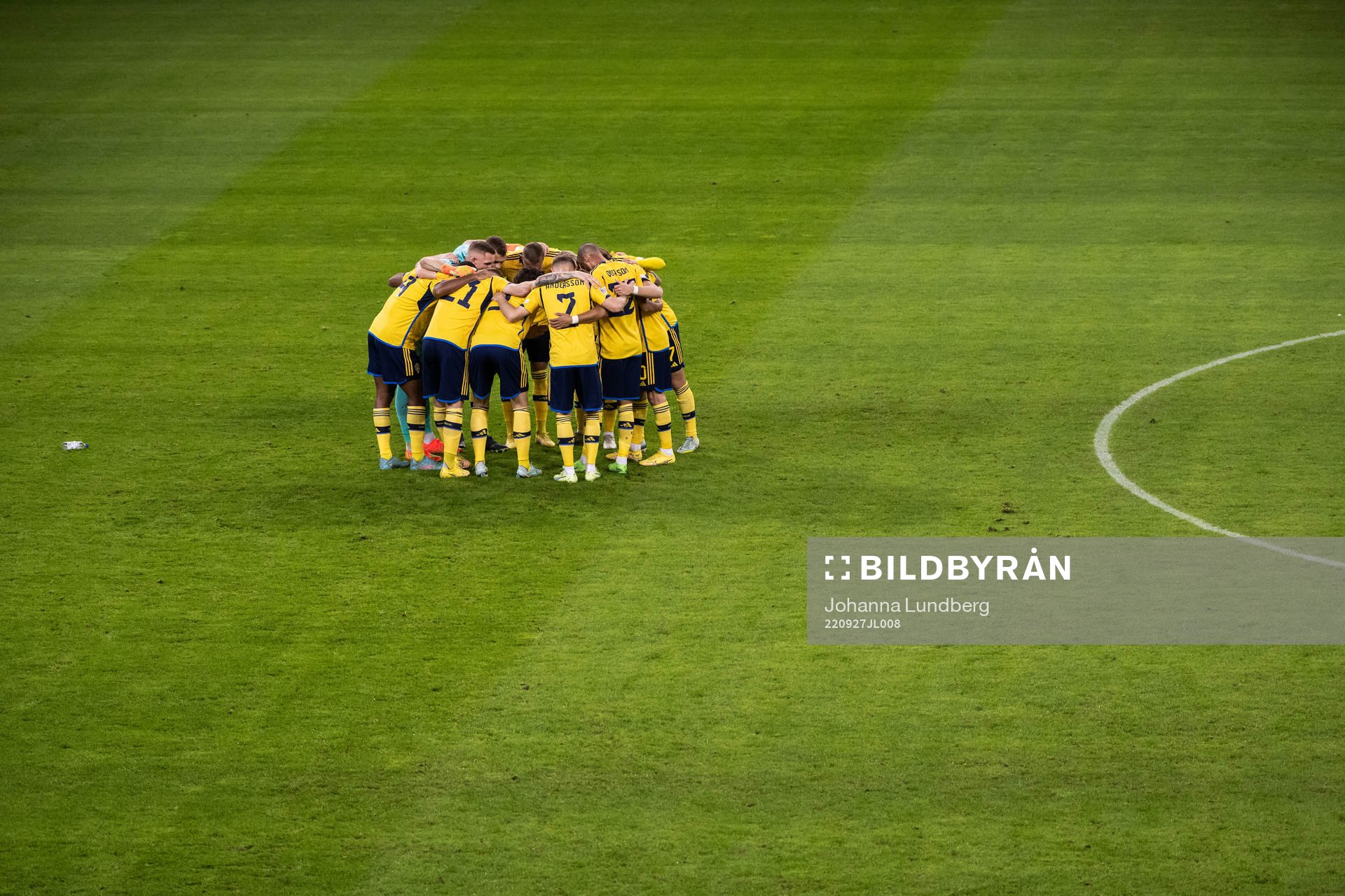 Players of Sweden