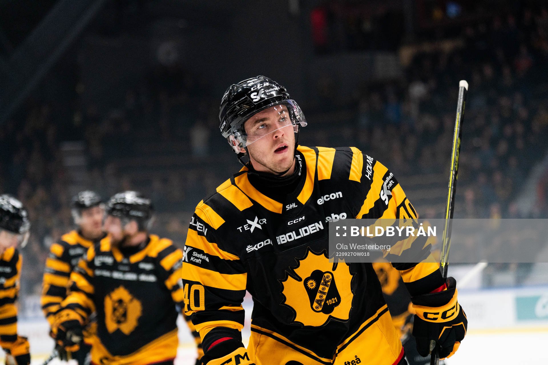 Skellefteås Andreas Wingerli jublar
