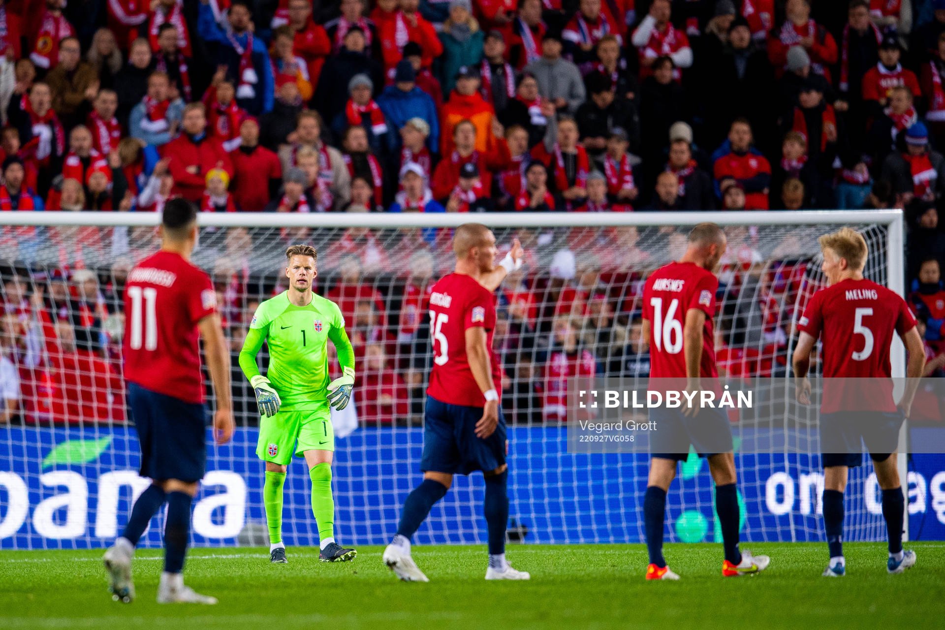 Goalkeeper Ørjan Håskjold Nyland of Norway