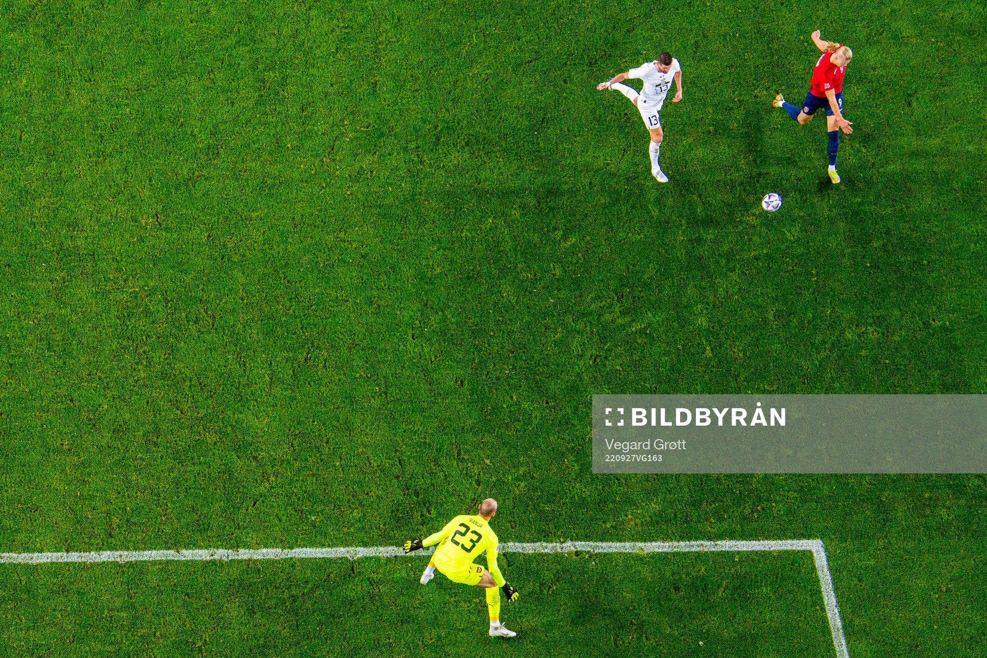 Goalkeeper Vanja Milinkovic-Savic, Stefan Mitrovic of
