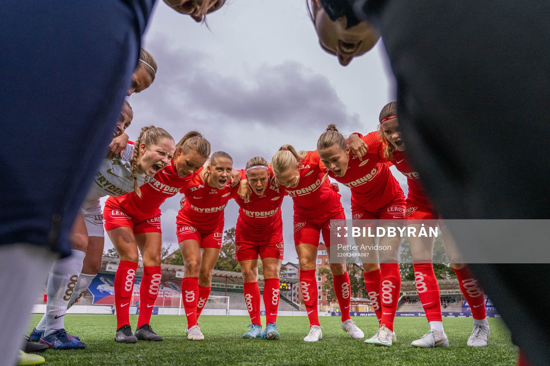 Players of Brann