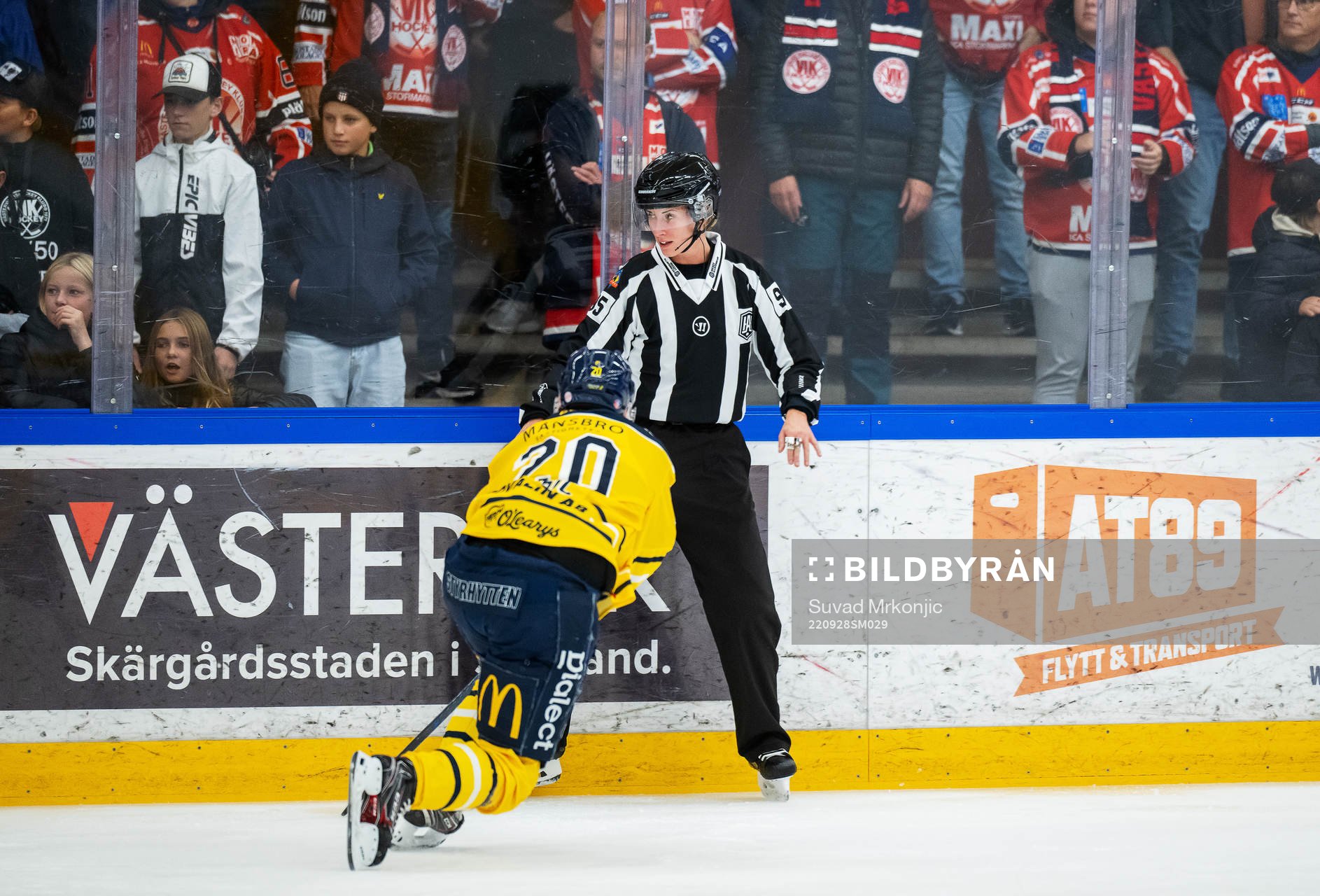 Linjedomare Anna Hammar